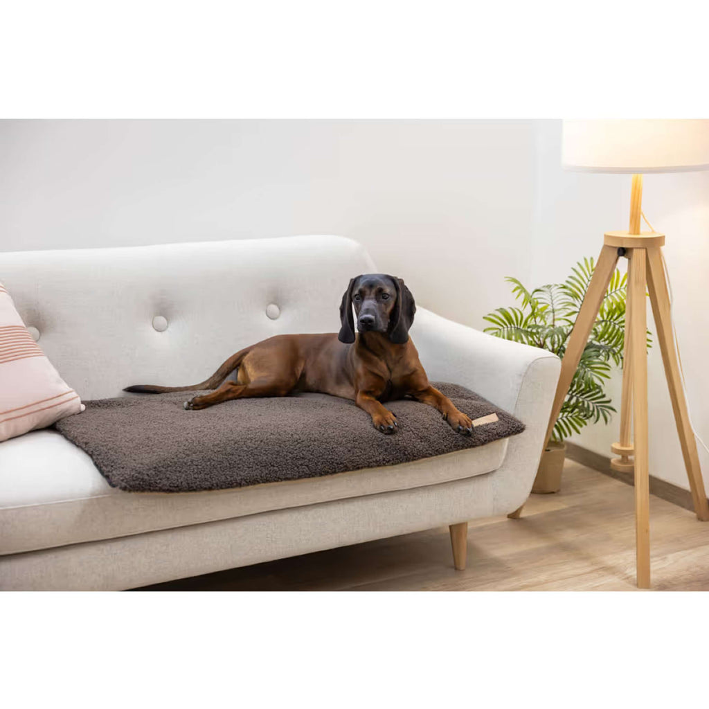 Kerbl Matelas pour Chien 2 en 1 Maaron/beige
