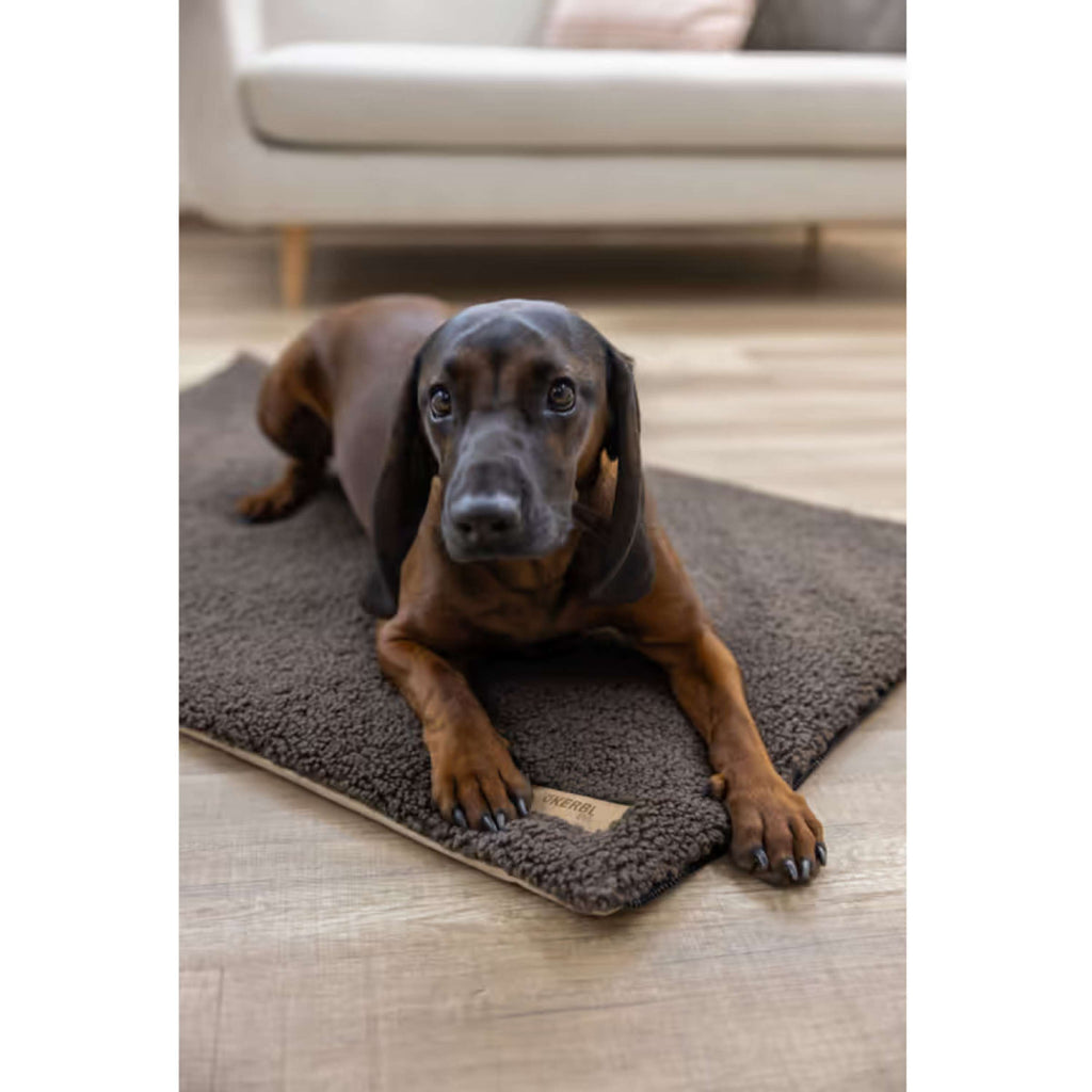 Kerbl Matelas pour Chien 2 en 1 Maaron/beige