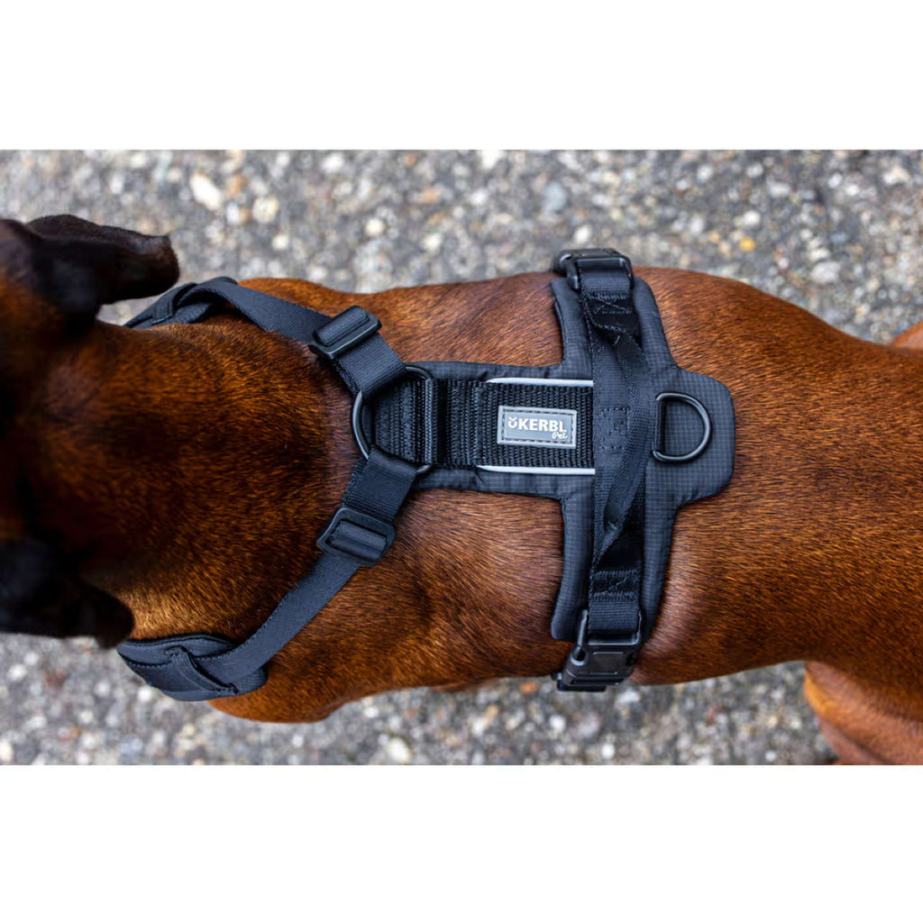 Kerbl Harnais pour Chien Dallas Noir
