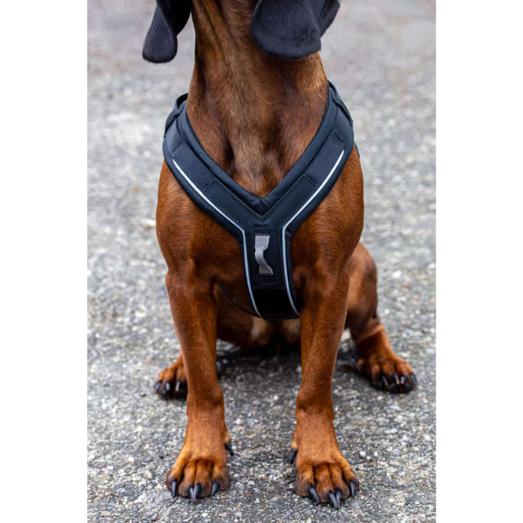 Kerbl Harnais pour Chien Dallas Noir