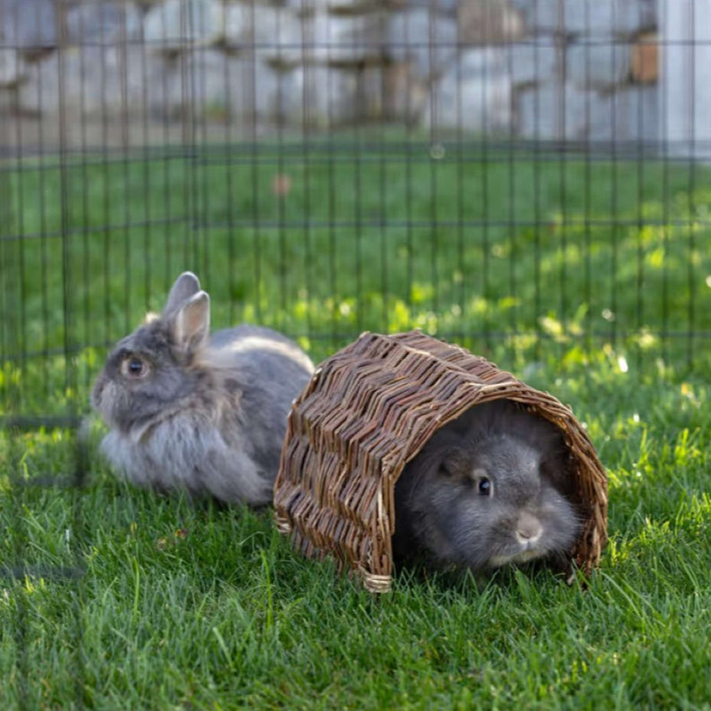 Kerbl Tunnel pour Lapin Nature