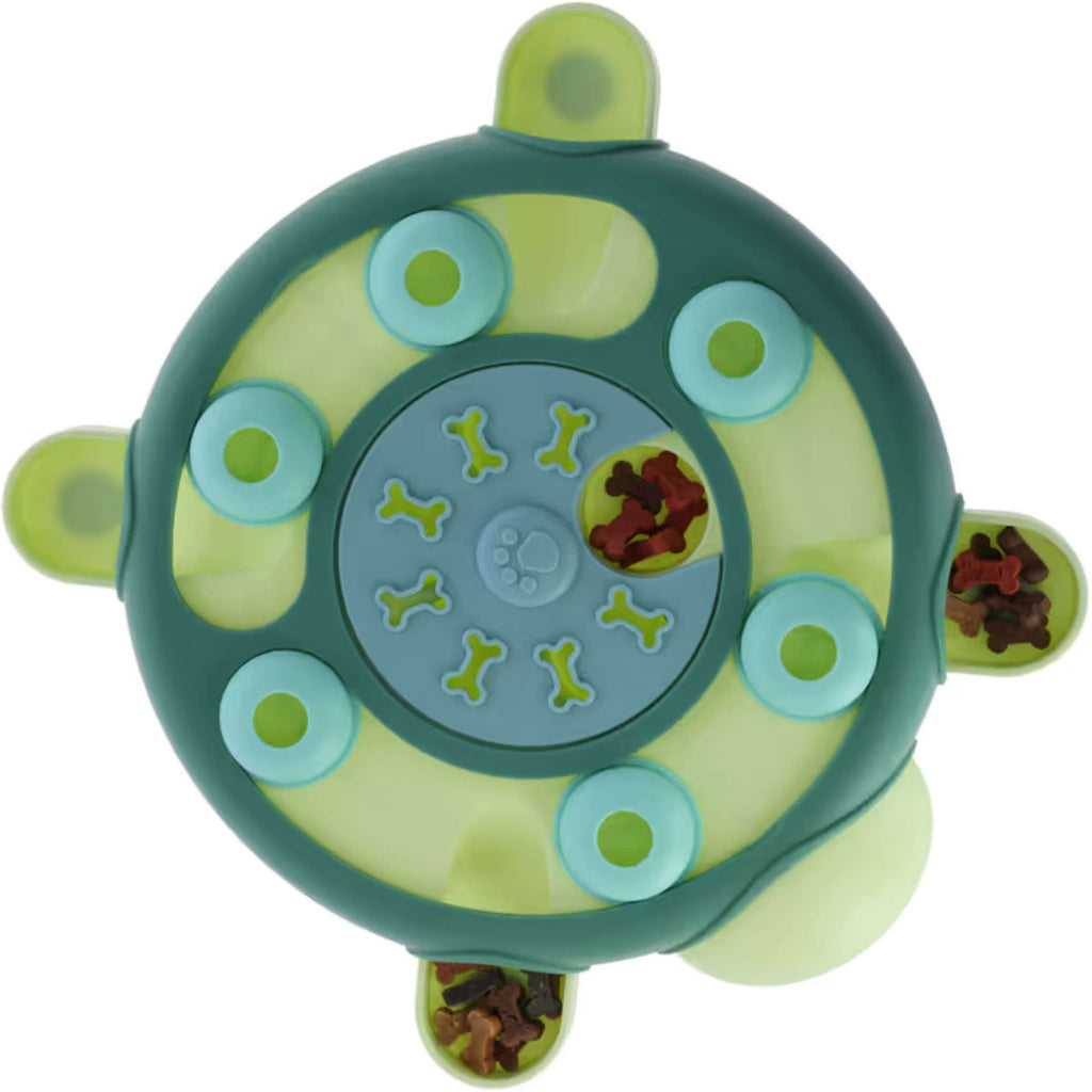 Kerbl Tortue Jouet Jeu de Réflexion et d'Apprentissage Vert