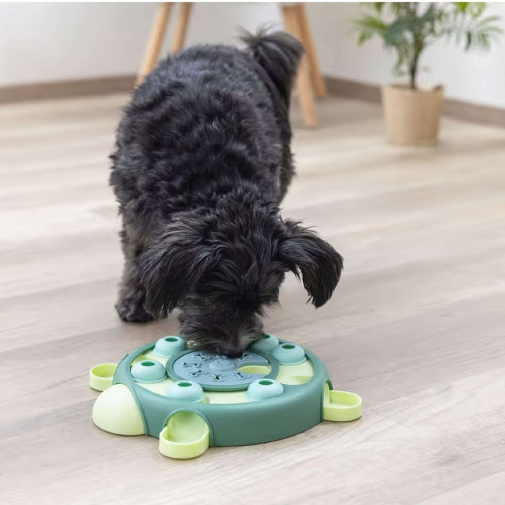 Kerbl Tortue Jouet Jeu de Réflexion et d'Apprentissage Vert