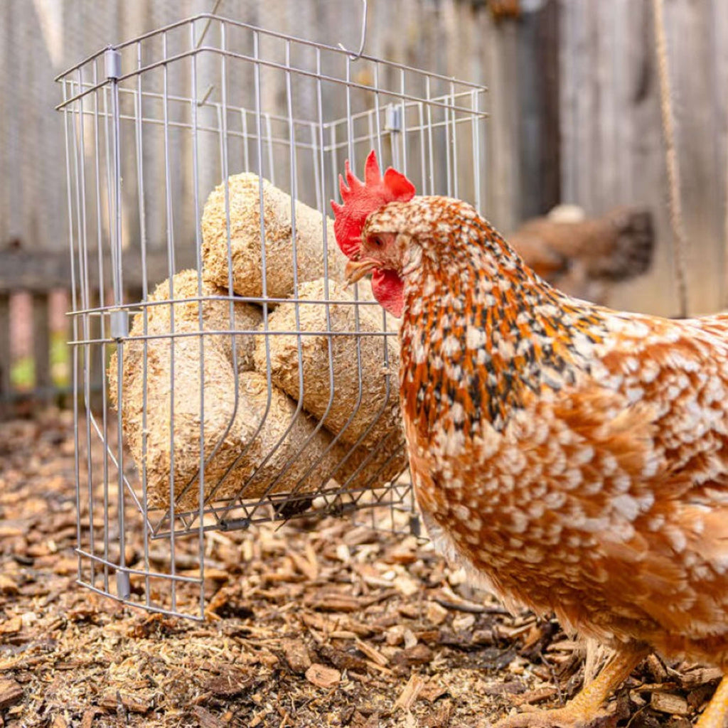 Kerbl Blocs d'épeautre pour Poulets