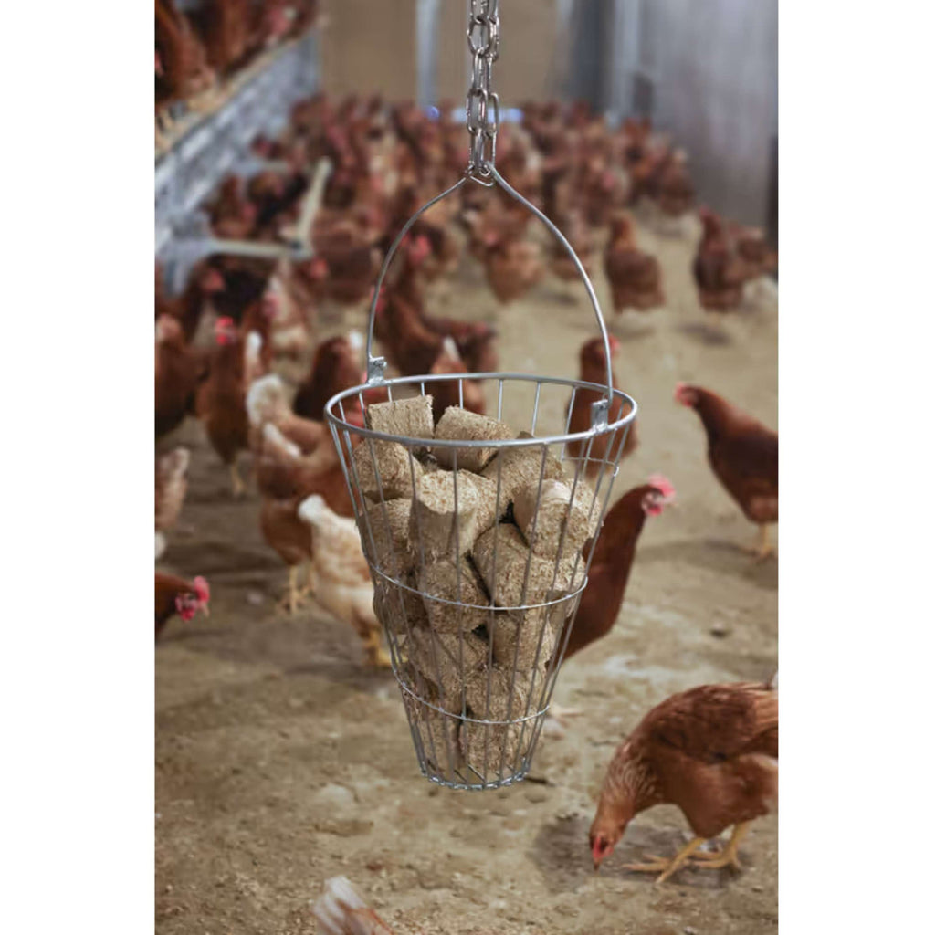 Kerbl Blocs d'épeautre pour Poulets