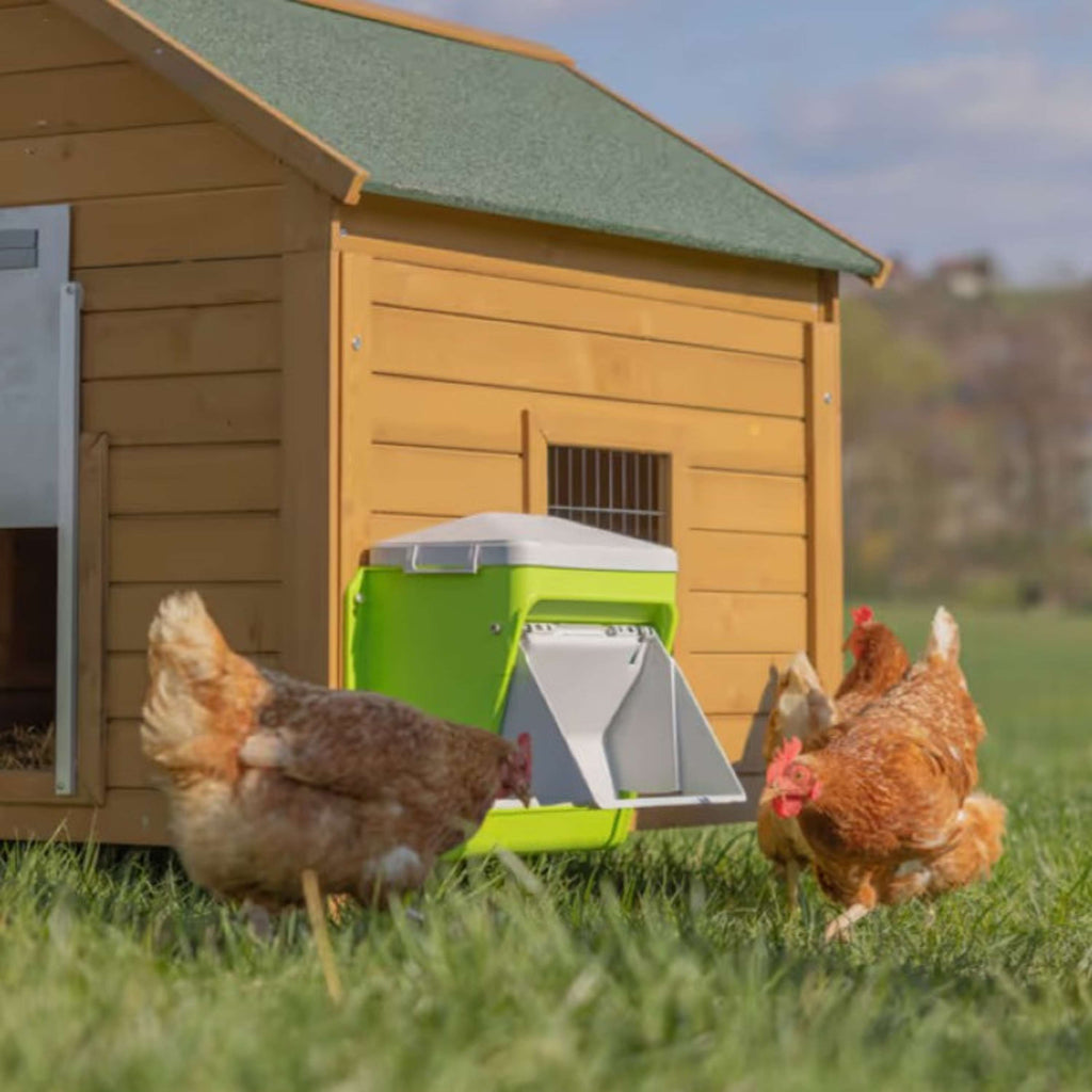 Kerbl Distributeur Automatique de Nourriture avec Clapet de Protection Vert