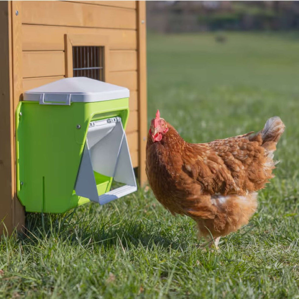 Kerbl Distributeur Automatique de Nourriture avec Clapet de Protection Vert
