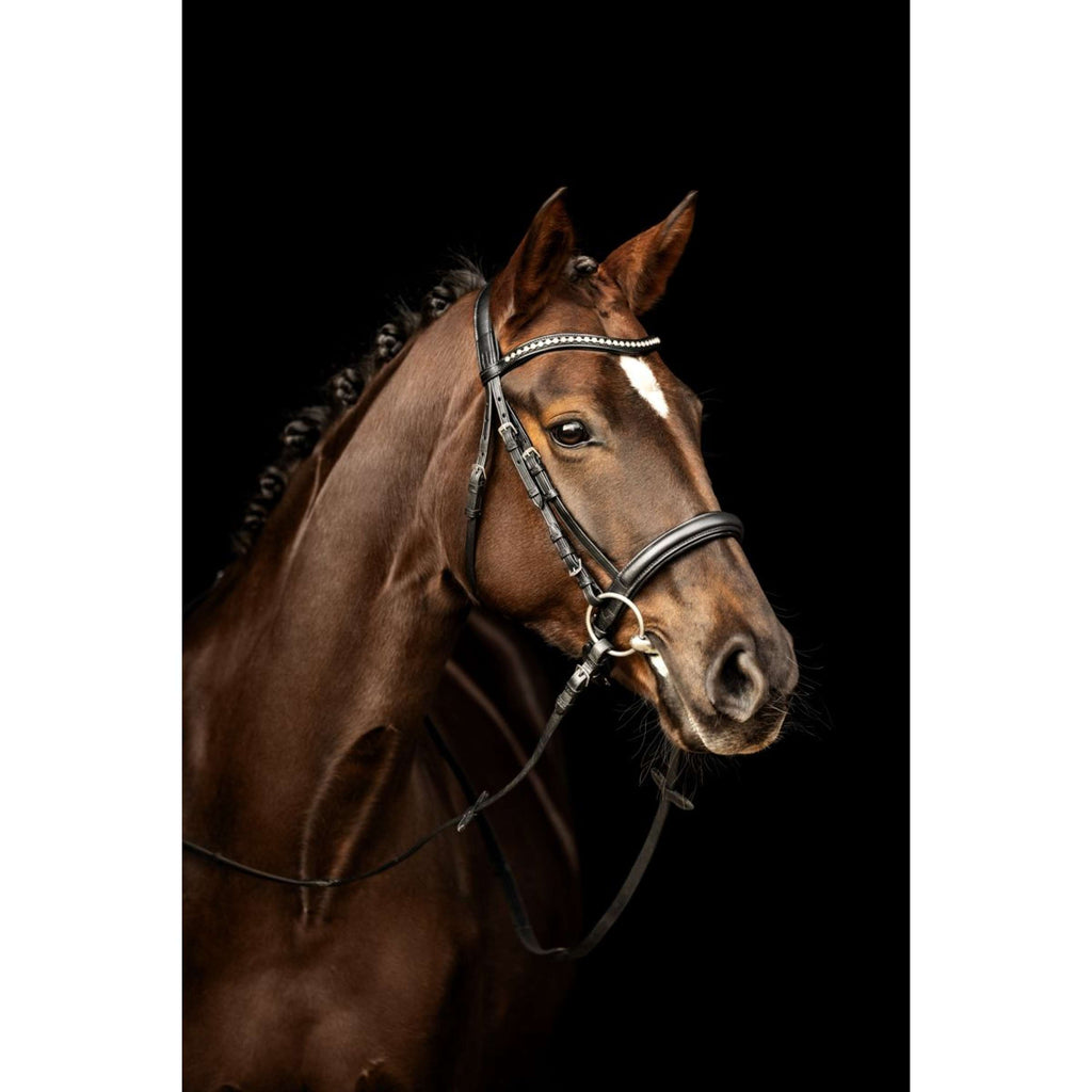 Kieffer Bridon Ultrasoft Sue avec des Cristaux Marron/Gris Clair