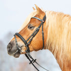 Kieffer Bride Ultrasoft Haflinger Noir/Blanches Pierres