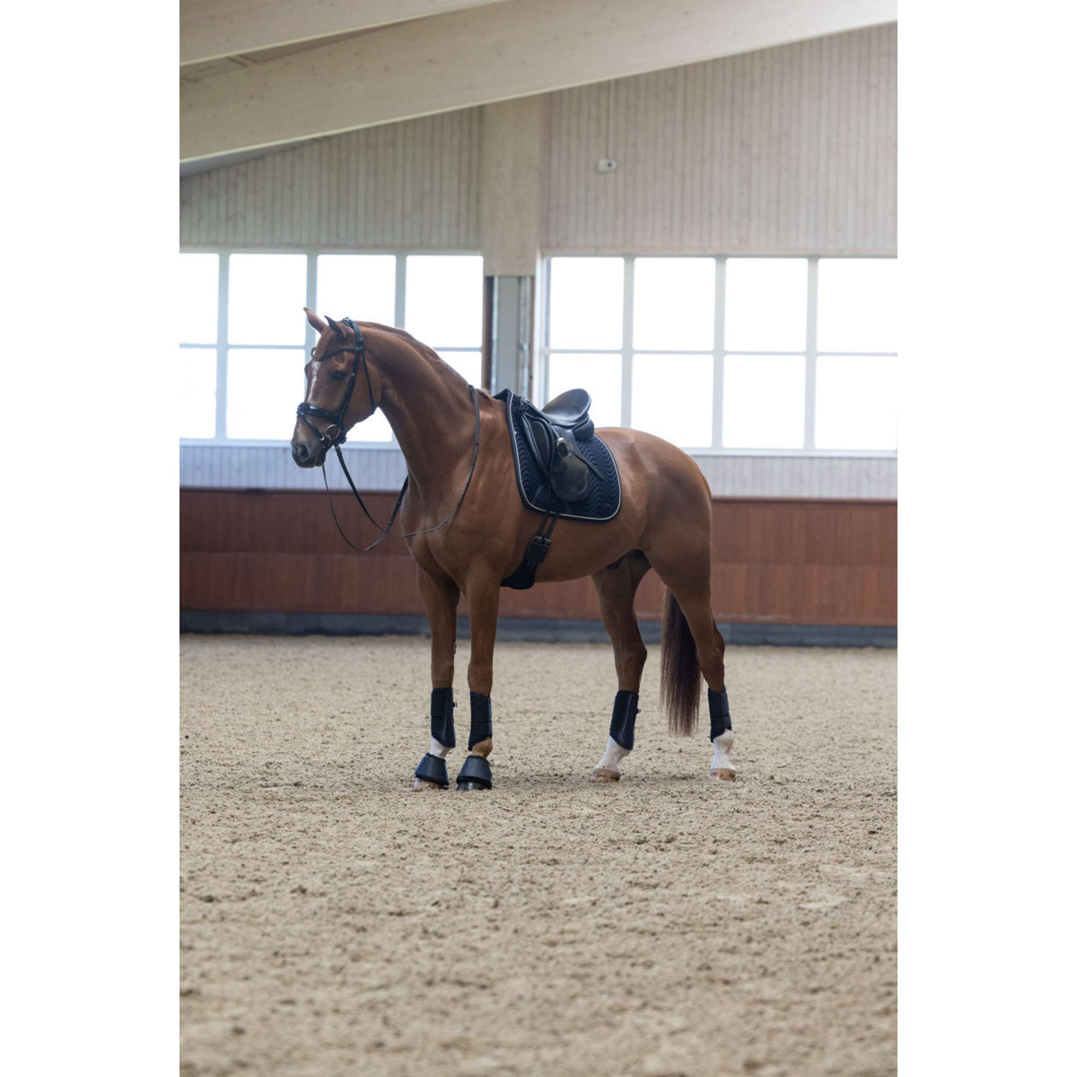 Kingsland Dressage Boots KLLucca Marin