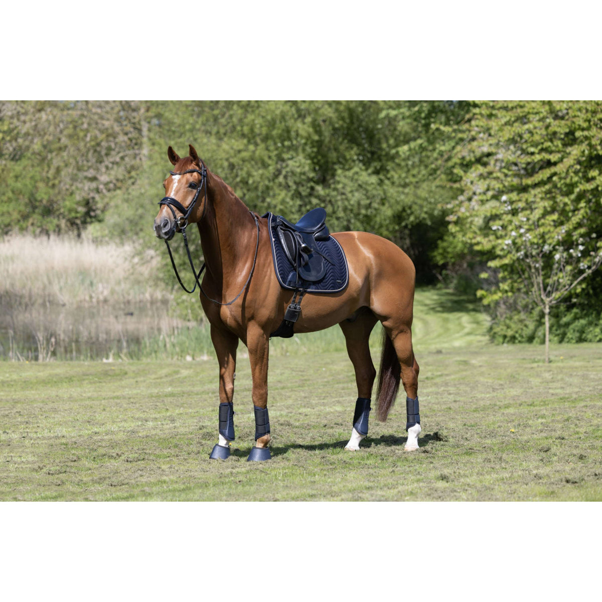 Kingsland Tapis de Selle KLLucca Cooling Dressage Marin