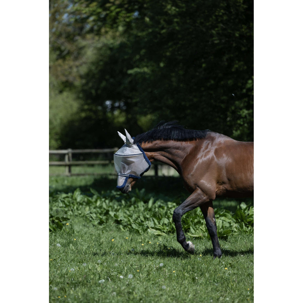 Kingsland Masque Anti-Mouches KLLando avec Oreilles Rainy Day