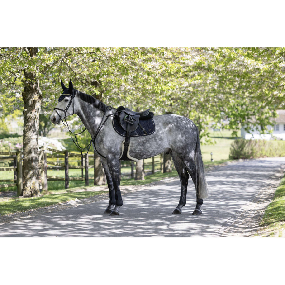 Kingsland Tapis de Selle KLLucca Cooling de Saut Marin