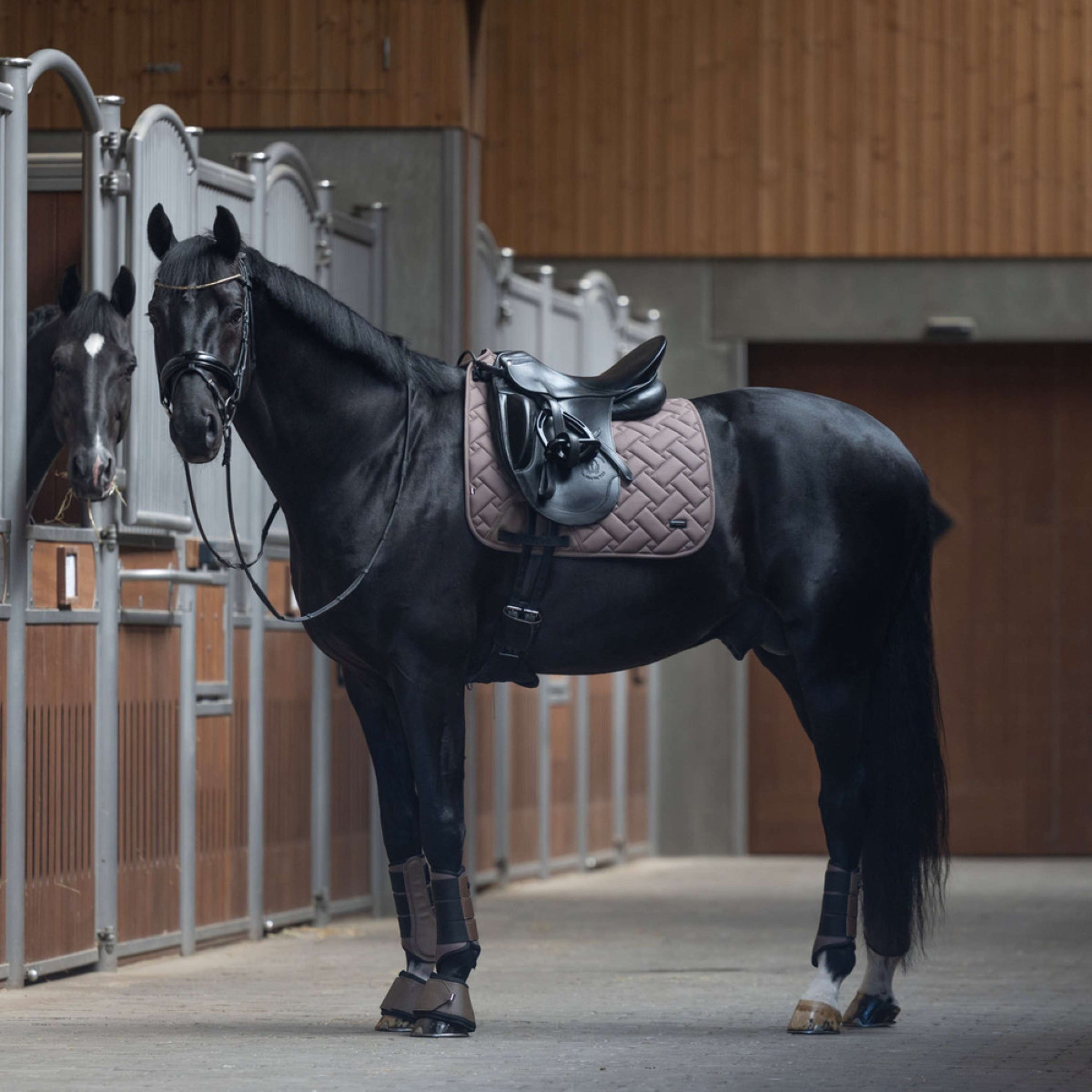 Kingsland Tapis de Selle KLLexie Dressage Brown Iron Kingsland Tapis de Selle KLLexie Dressage Brown Iron