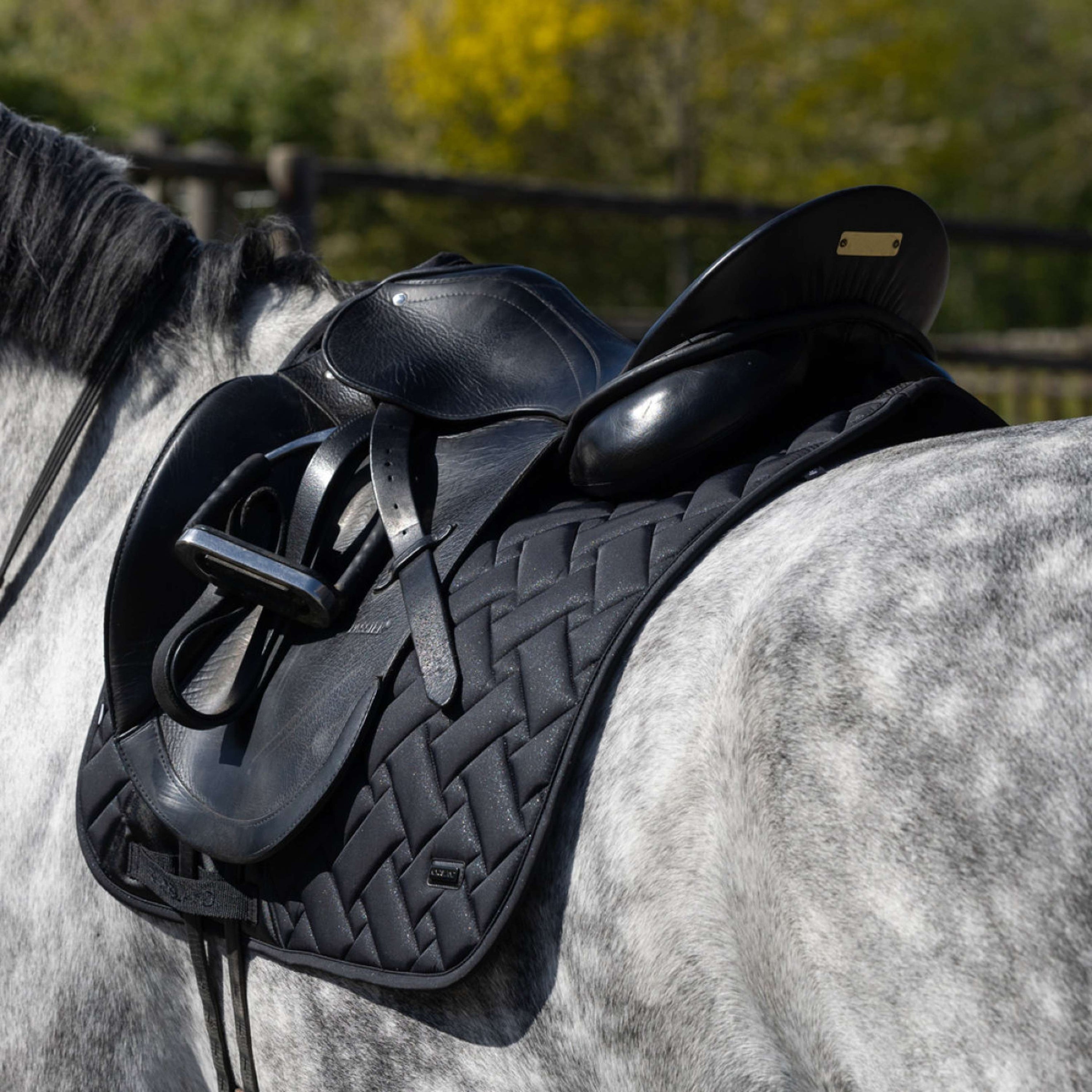 Kingsland Tapis de Selle KLLexie Dressage Noir Kingsland Tapis de Selle KLLexie Dressage Noir