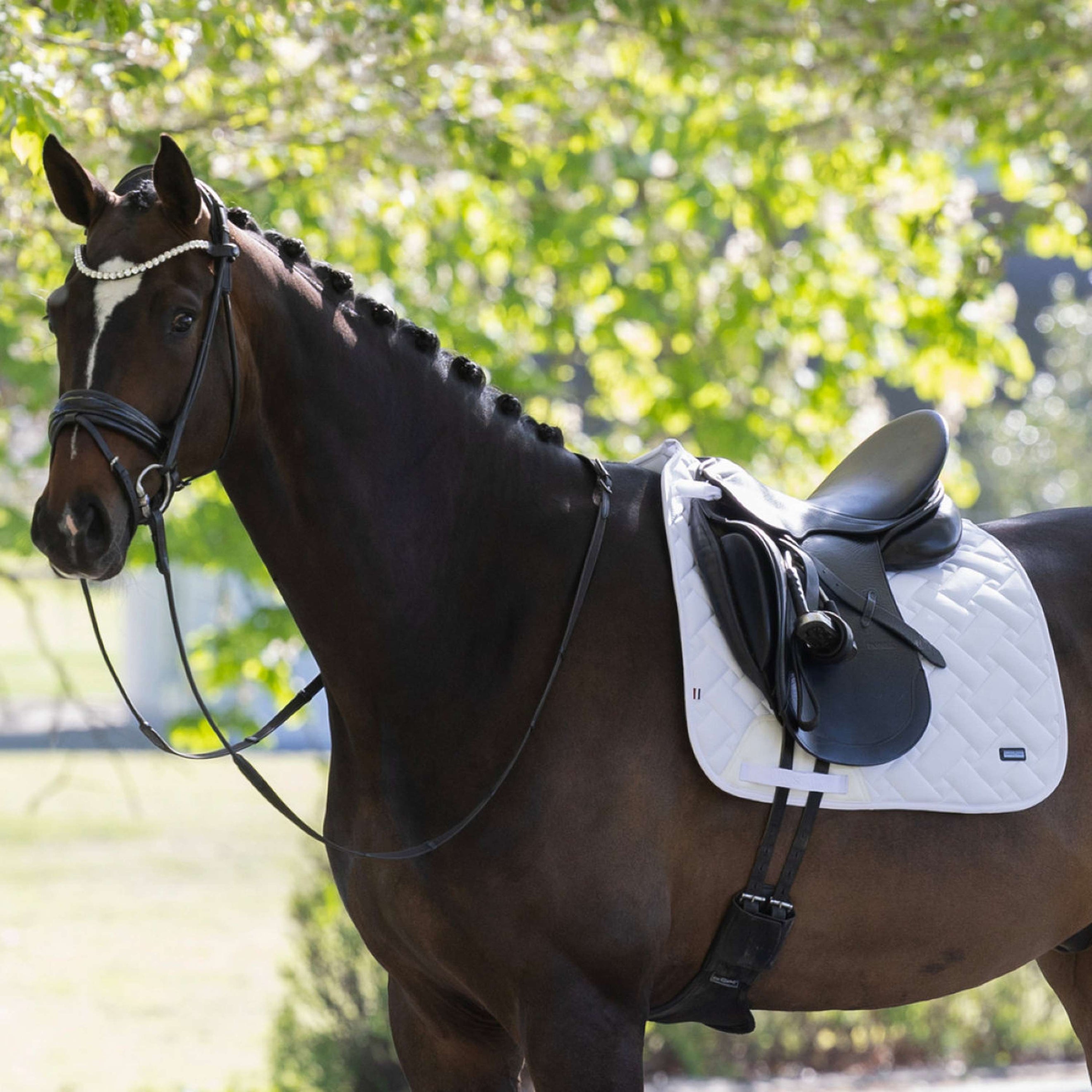Kingsland Tapis de Selle KLLexie Dressage Blanc Kingsland Tapis de Selle KLLexie Dressage Blanc