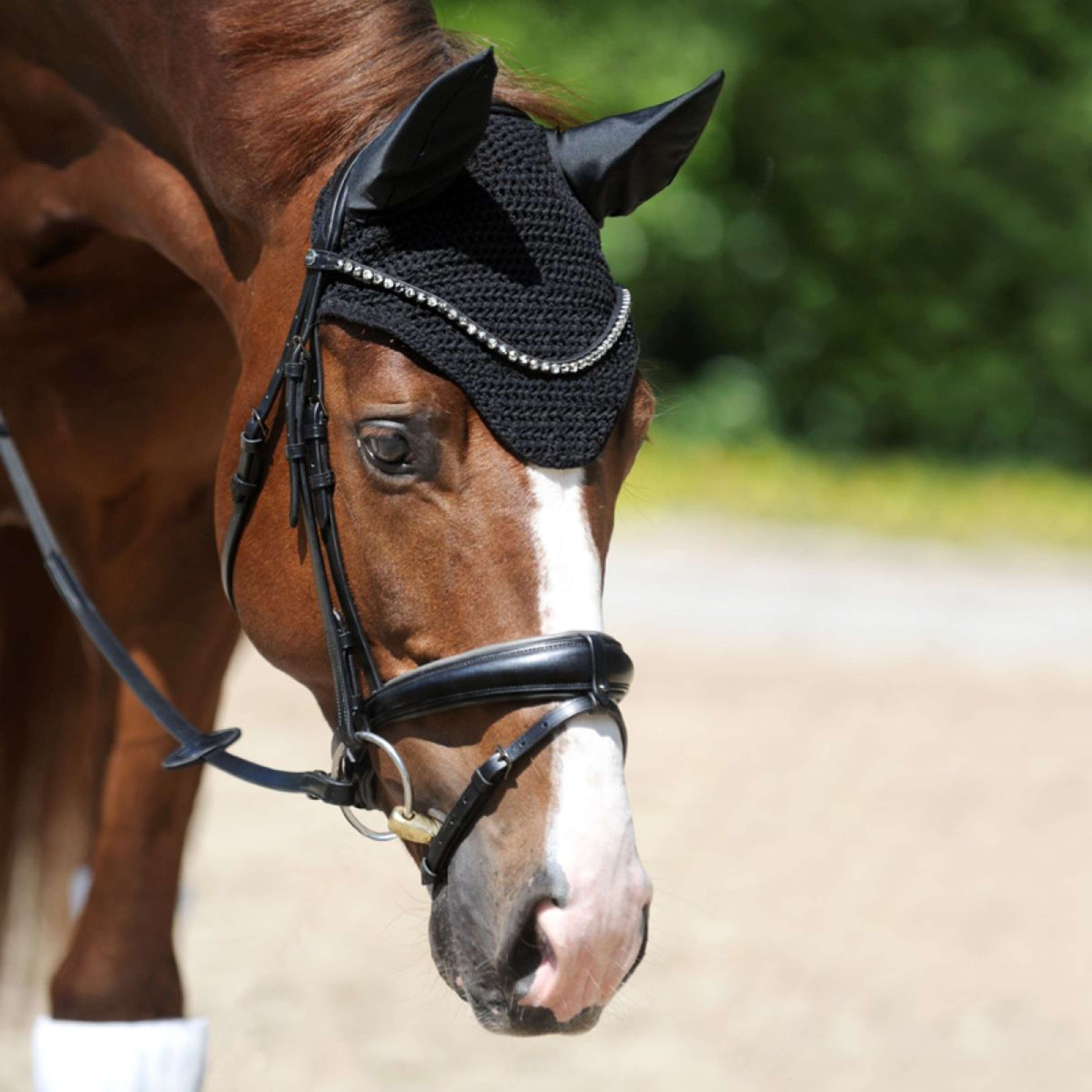 Kavalkade Bonnet Anti-Mouches Easy Noir Kavalkade Bonnet Anti-Mouches Easy Noir