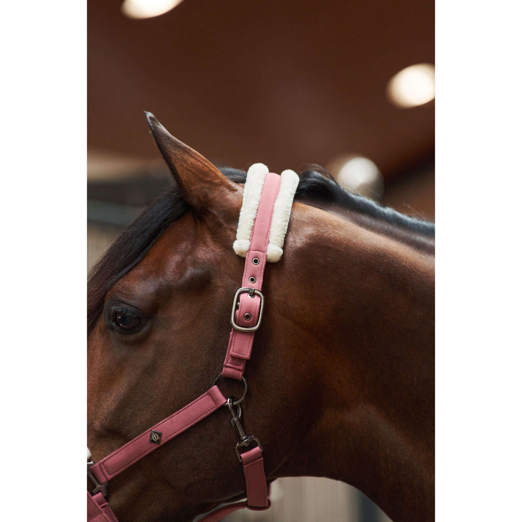 Imperial Riding Licol IRHJewel Mauve
