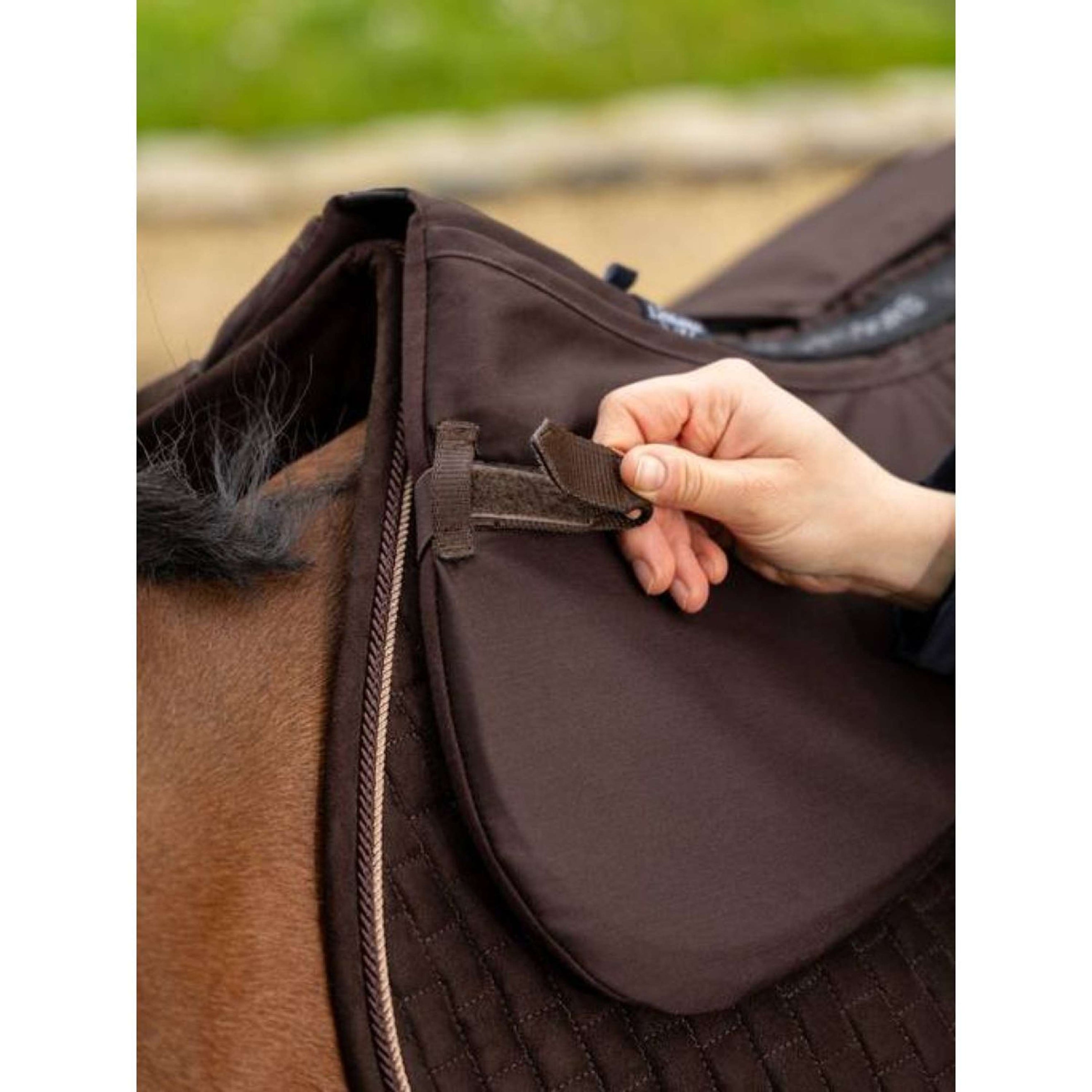 LeMieux Amortisseur Prosorb 2 Pocket Marron LeMieux Amortisseur Prosorb 2 Pocket Marron