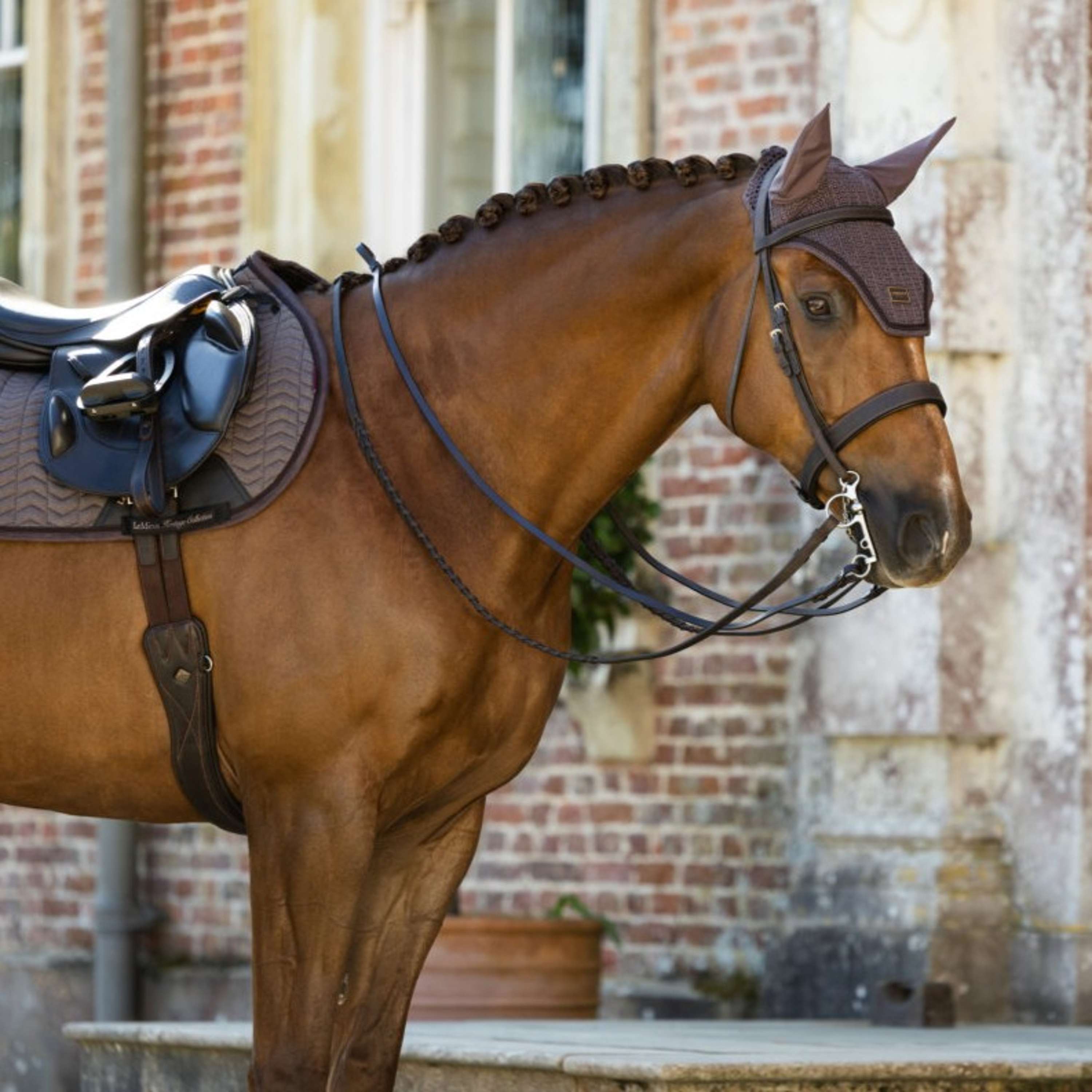 LeMieux Bonnet Anti-Mouches Heritage Cocoa