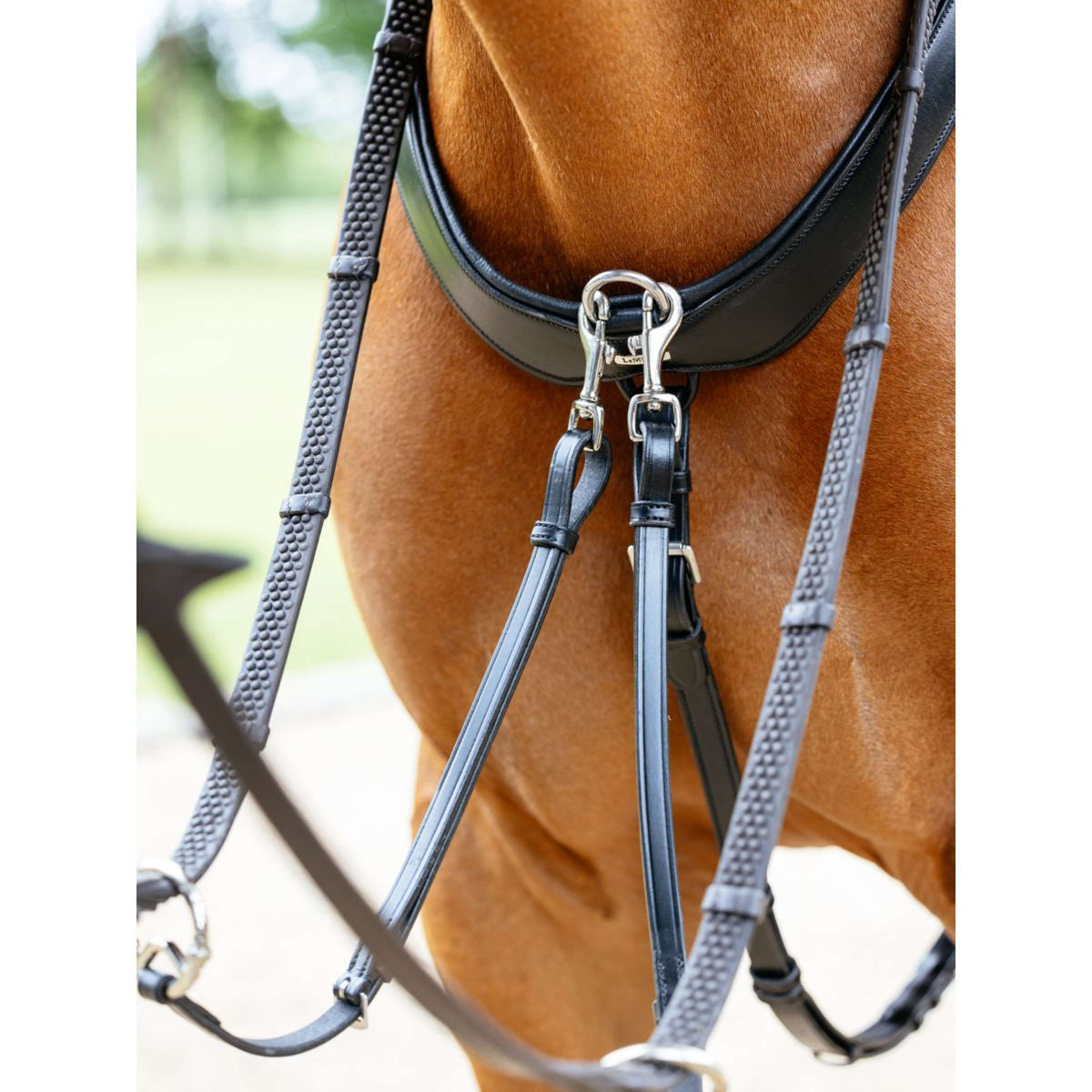 LeMieux Collier de Chasse Kudos Bridge Noir