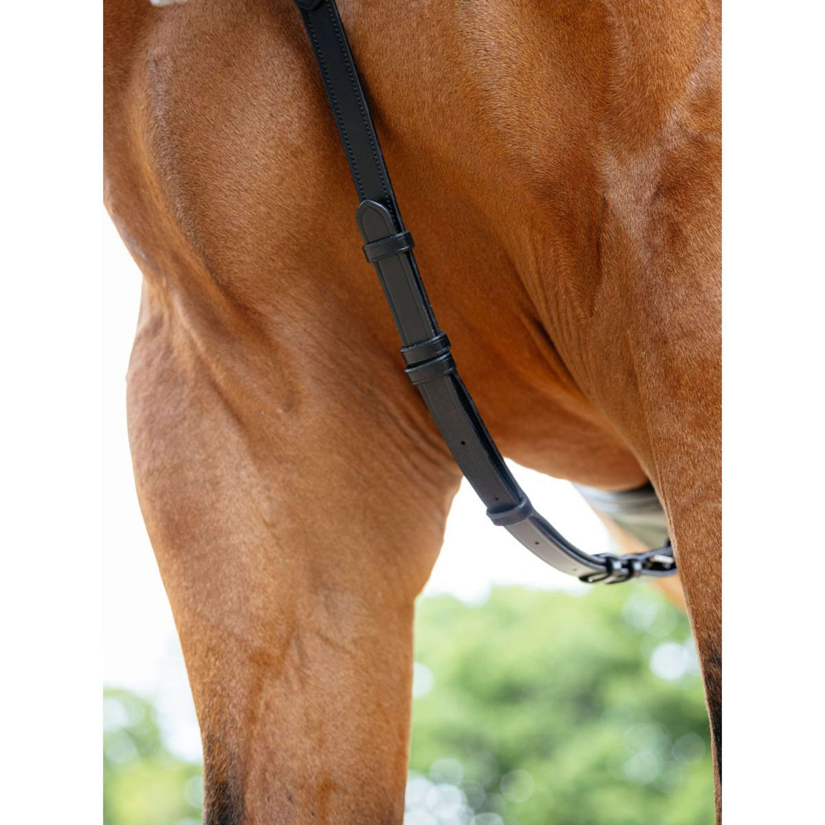 LeMieux Collier de Chasse Kudos Bridge Noir