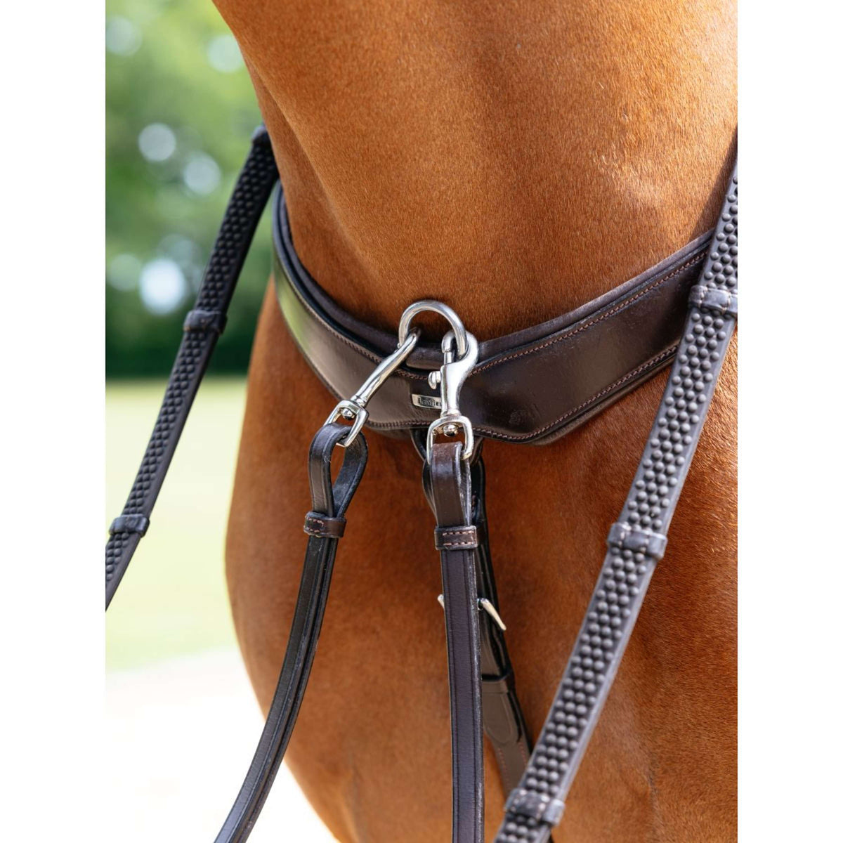LeMieux Collier de Chasse Kudos Bridge Havane