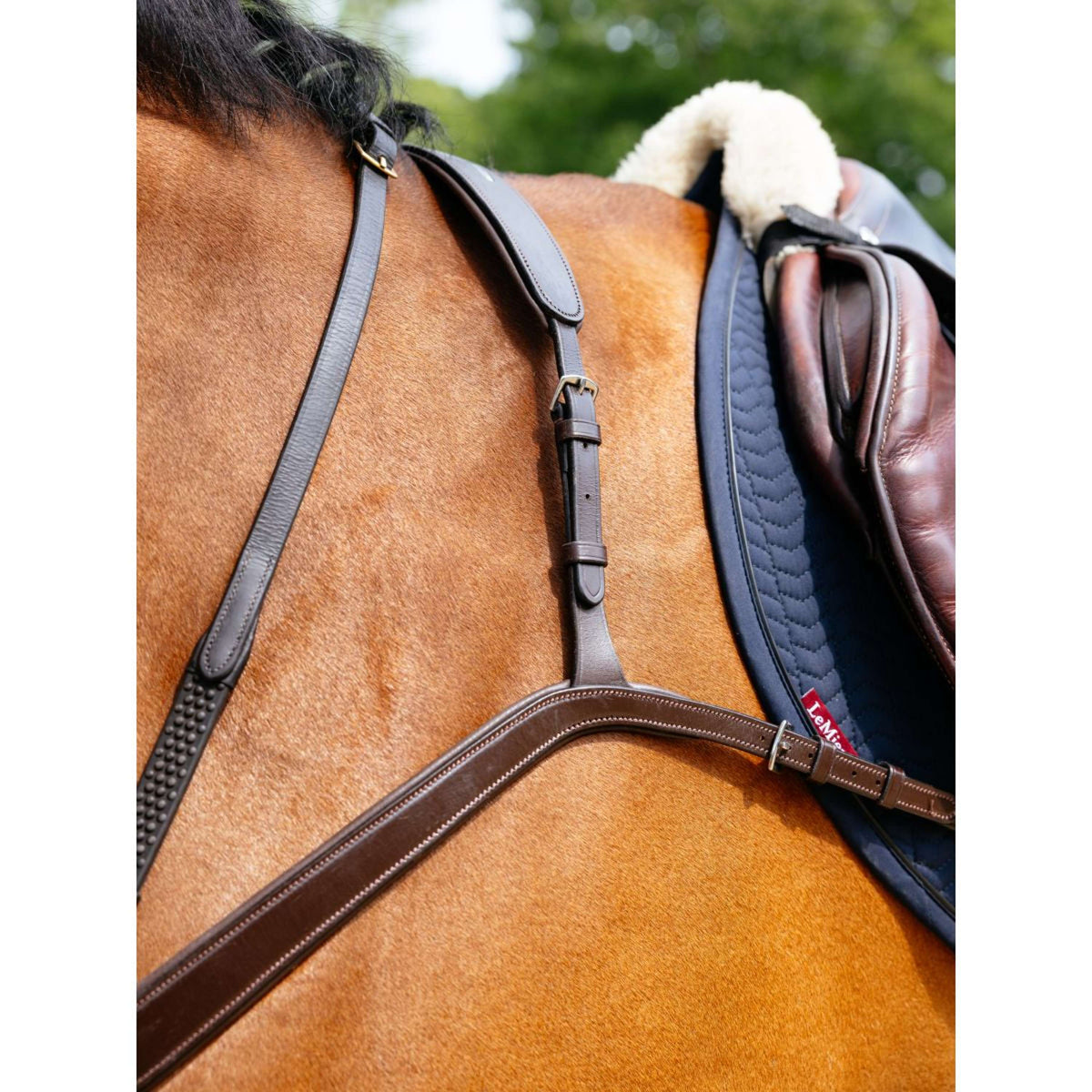 LeMieux Collier de Chasse Kudos Bridge Havane