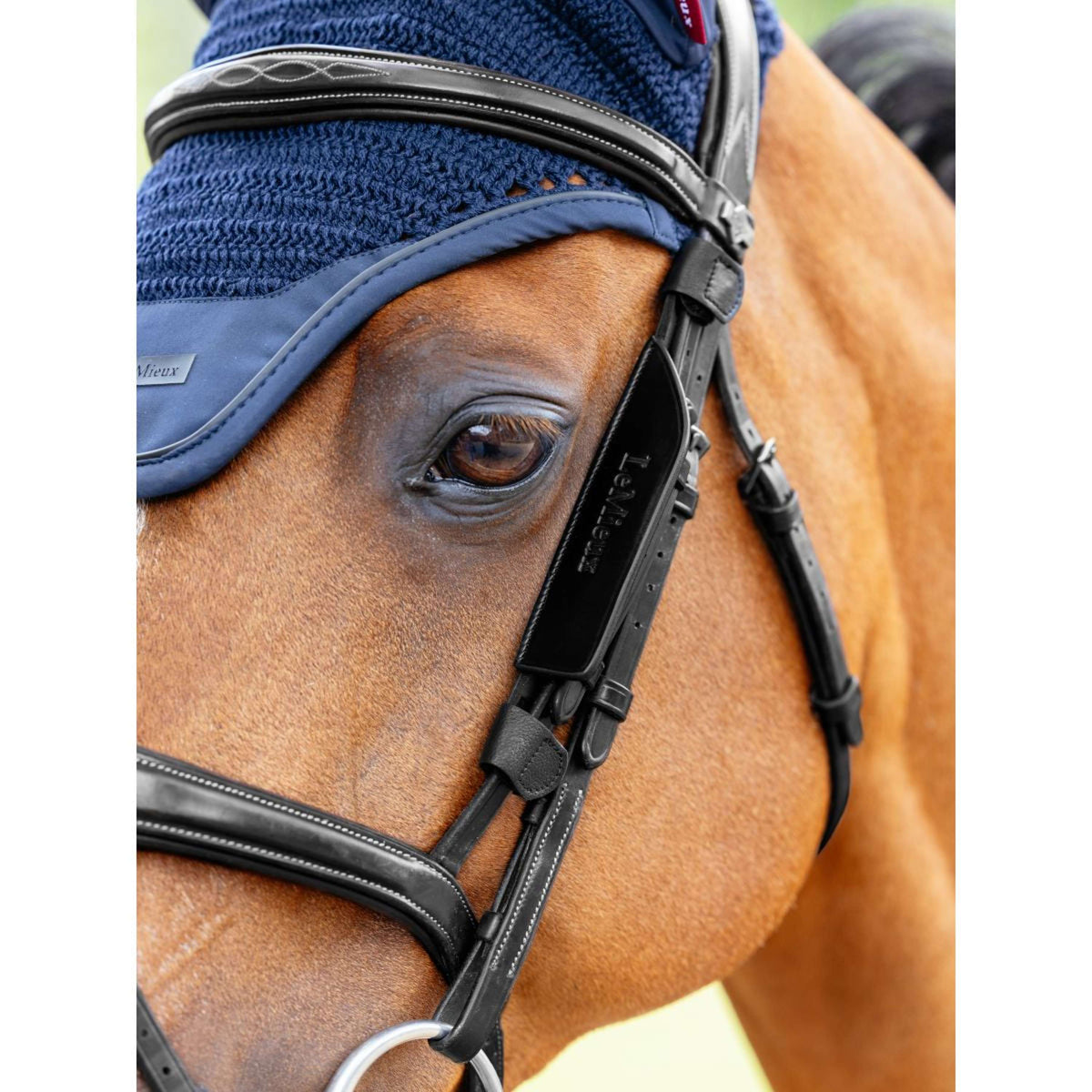 LeMieux Blinker Leather Noir