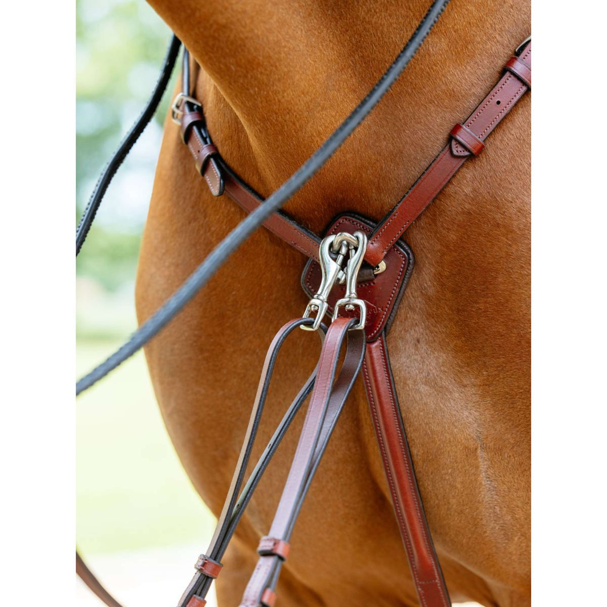 LeMieux Collier de Chasse D-Ring Attachment Châtaigne