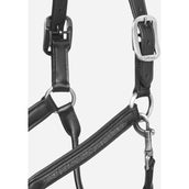 LeMieux Licol en Cuir Crystal Noir
