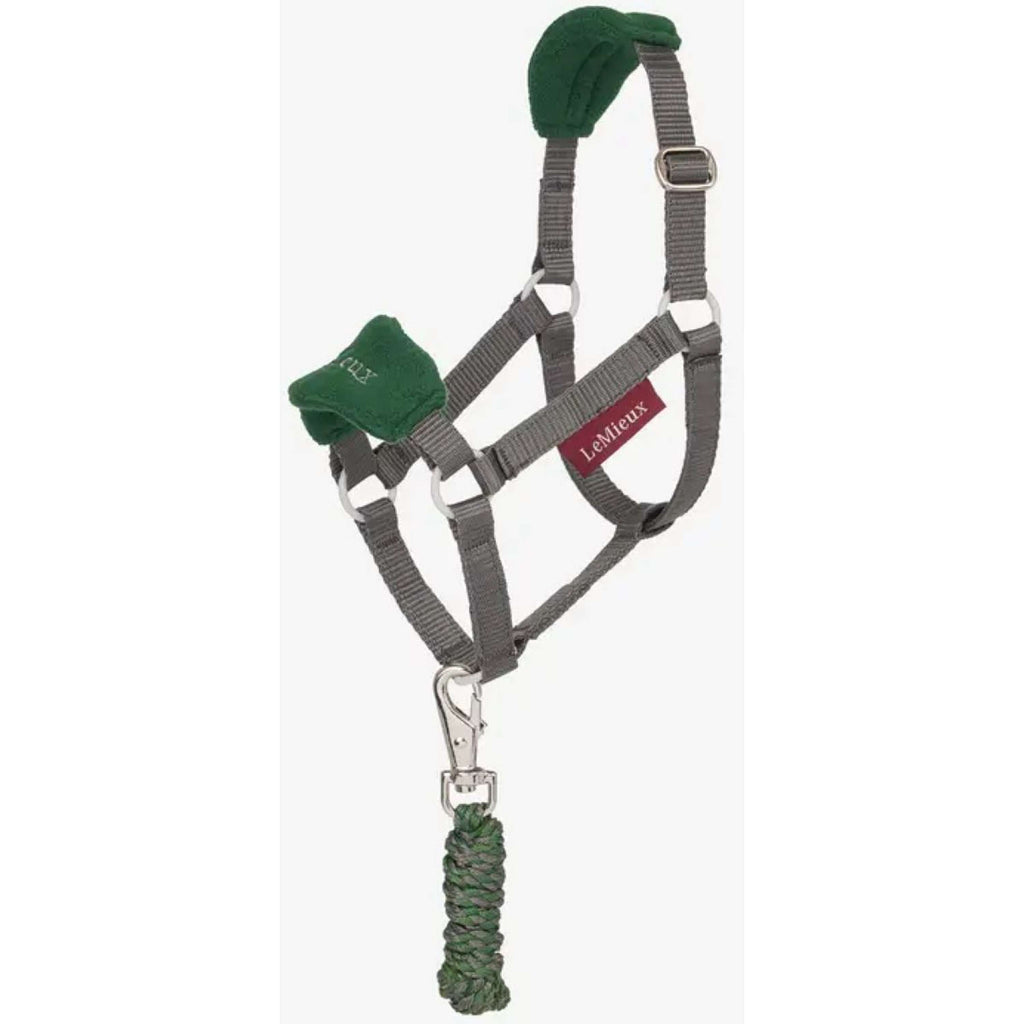 LeMieux Hobby Horse Ensemble Licol Vogue Hunter Green