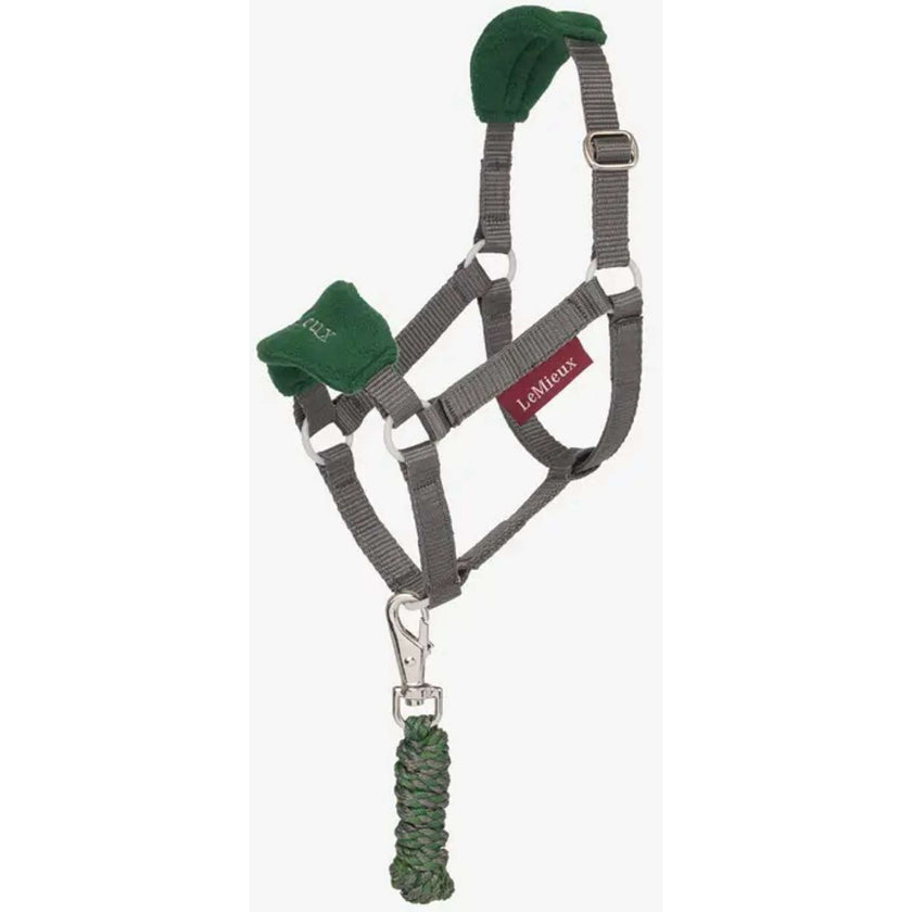 LeMieux Hobby Horse Ensemble Licol Vogue Hunter Green