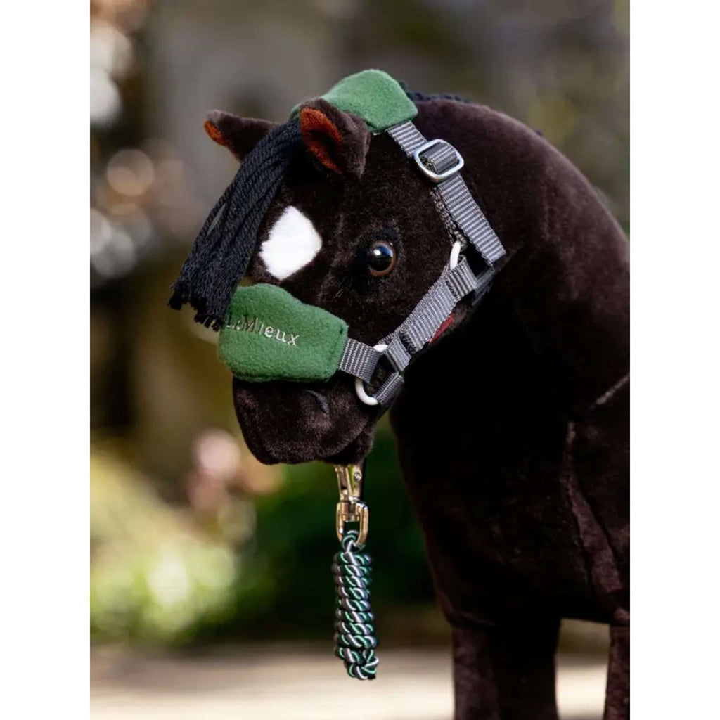 LeMieux Toy Pony Ensemble Licou Vogue Hunter Green
