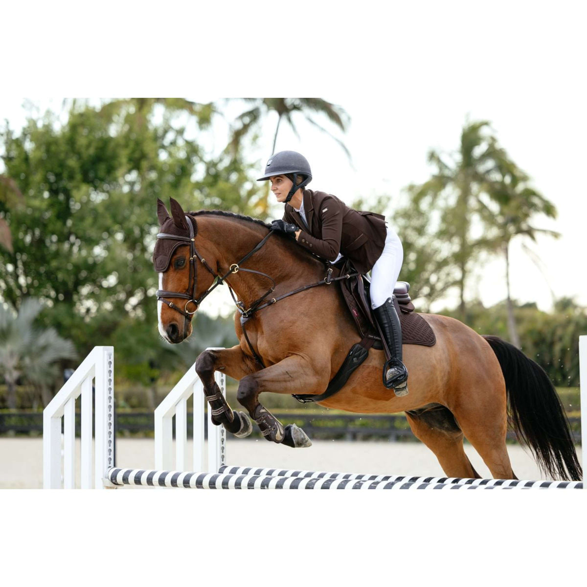 LeMieux Tapis de Selle Brilliance Close Contact Square de Saut Espresso