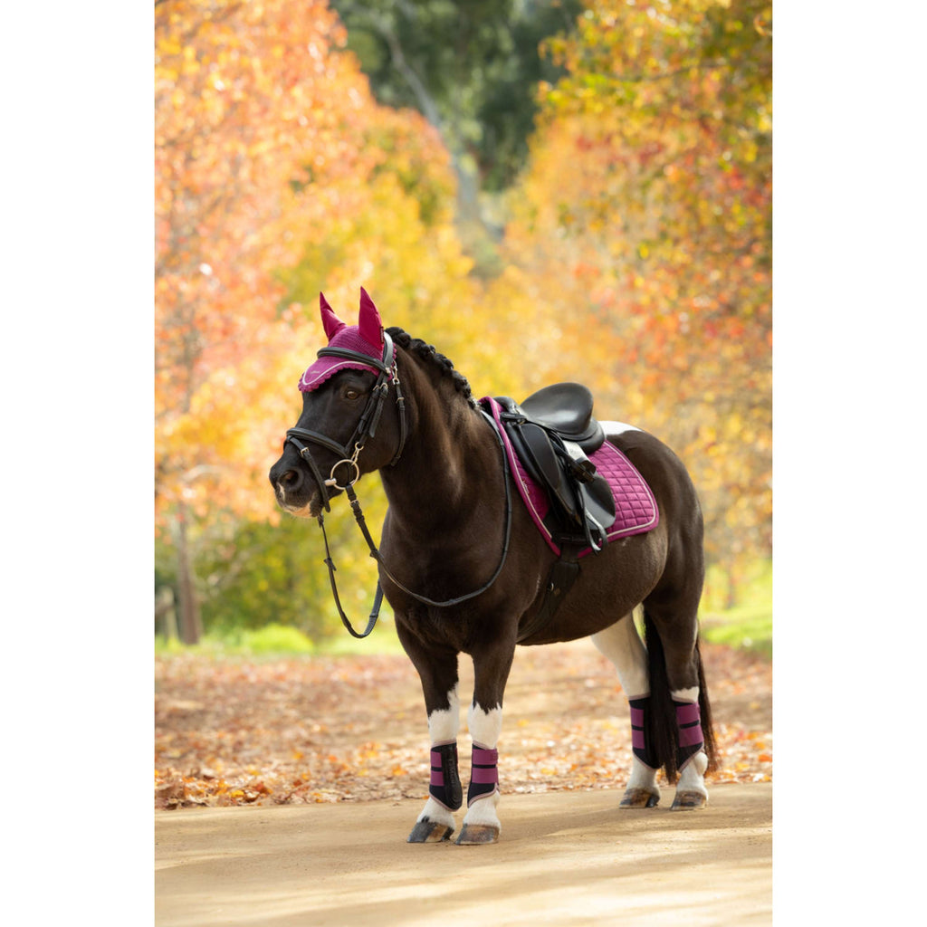 LeMieux Tapis de Selle Suede Close Contact Square de Saut Blackberry