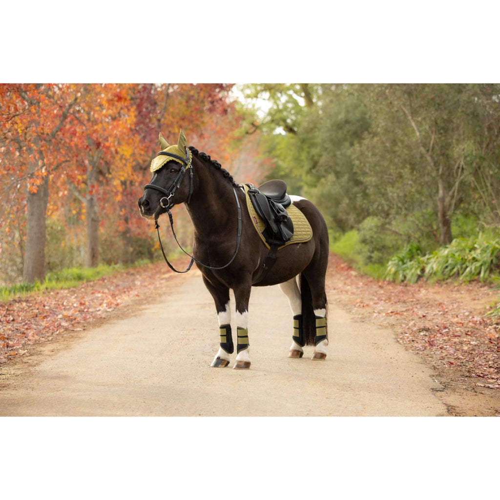 LeMieux Tapis de Selle Suede Close Contact Square de Saut Gooseberry