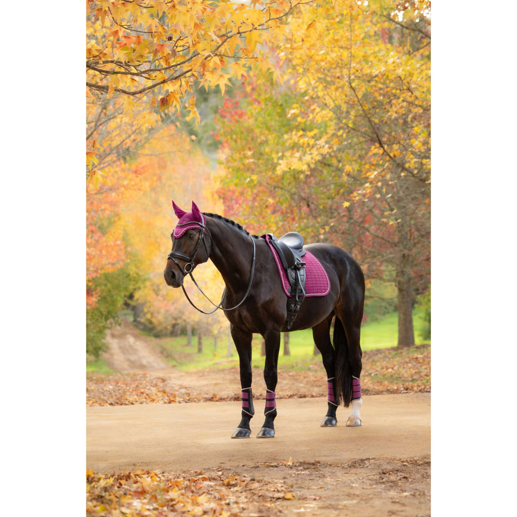 LeMieux Tapis de Selle Suede Square Dressage Blackberry