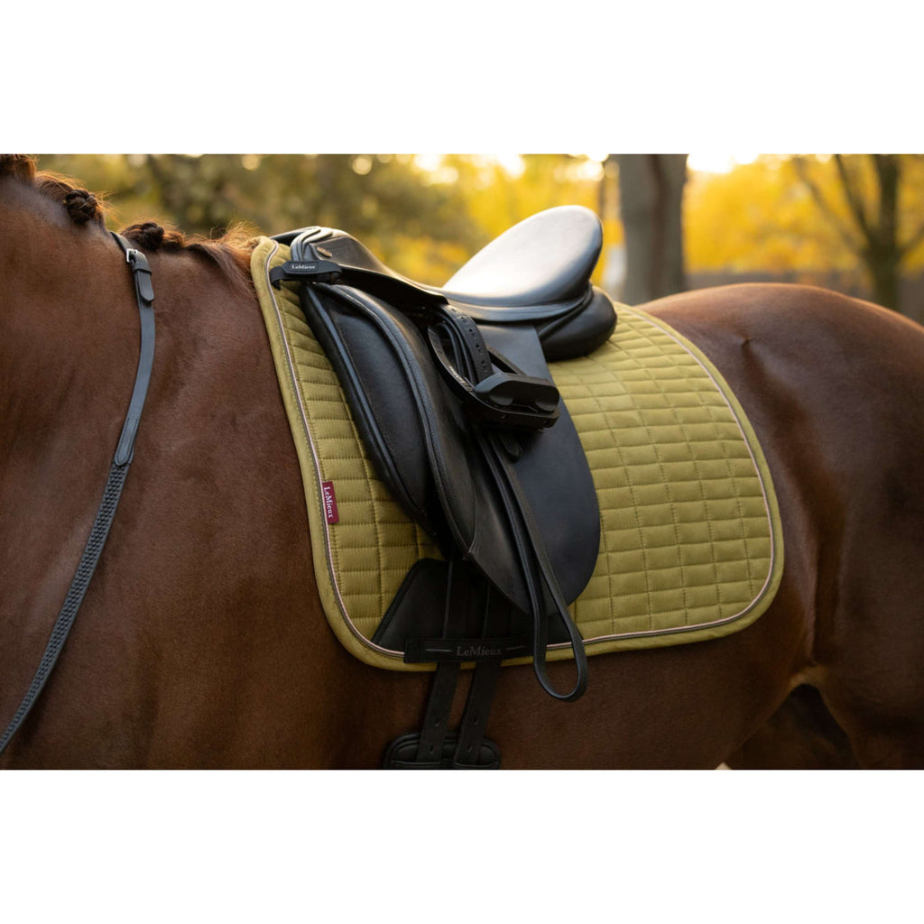 LeMieux Tapis de Selle Suede Square Dressage Gooseberry