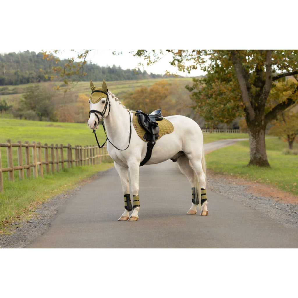 LeMieux Tapis de Selle Suede Square Polyvalence Gooseberry
