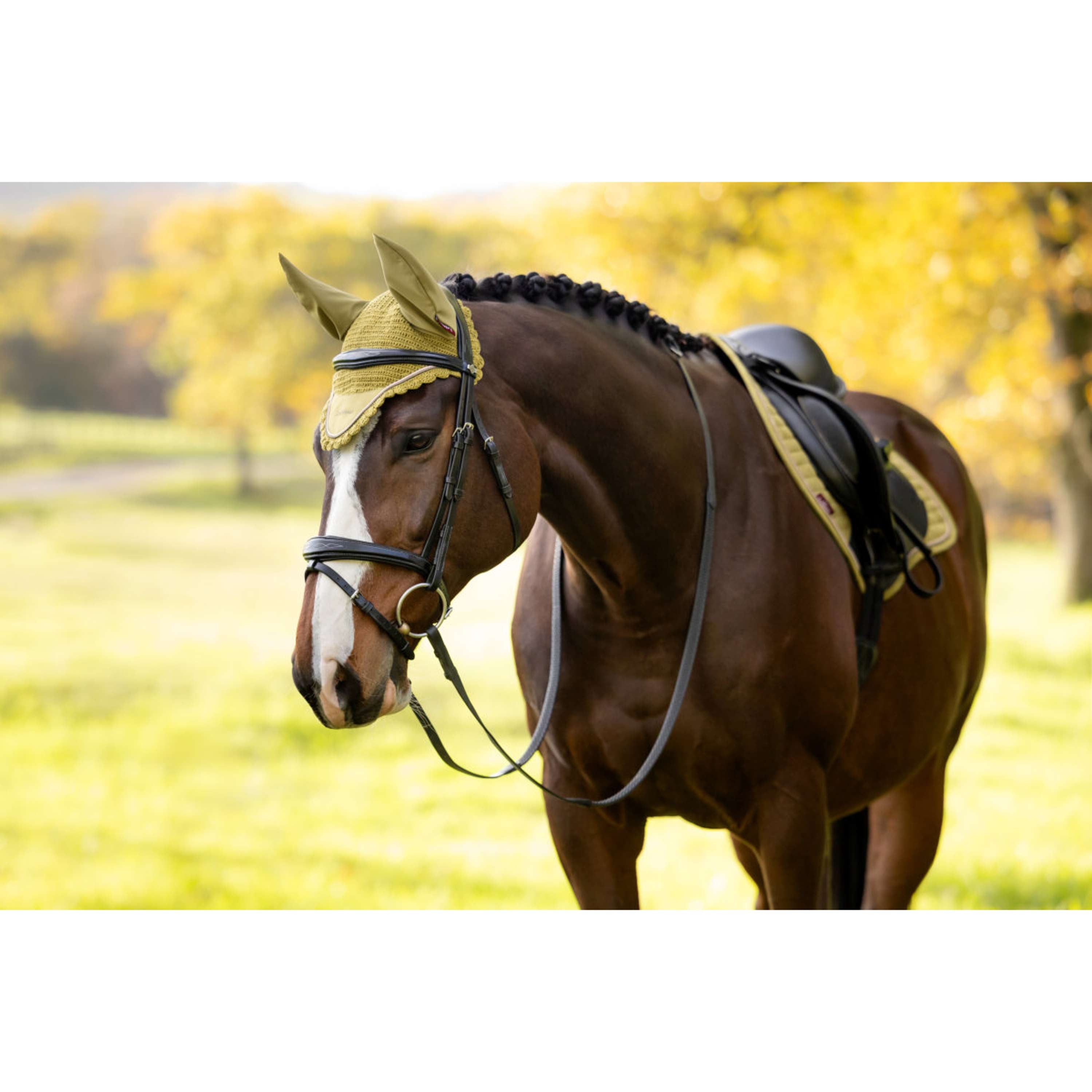 LeMieux Bonnet Anti-Mouches Classique Gooseberry