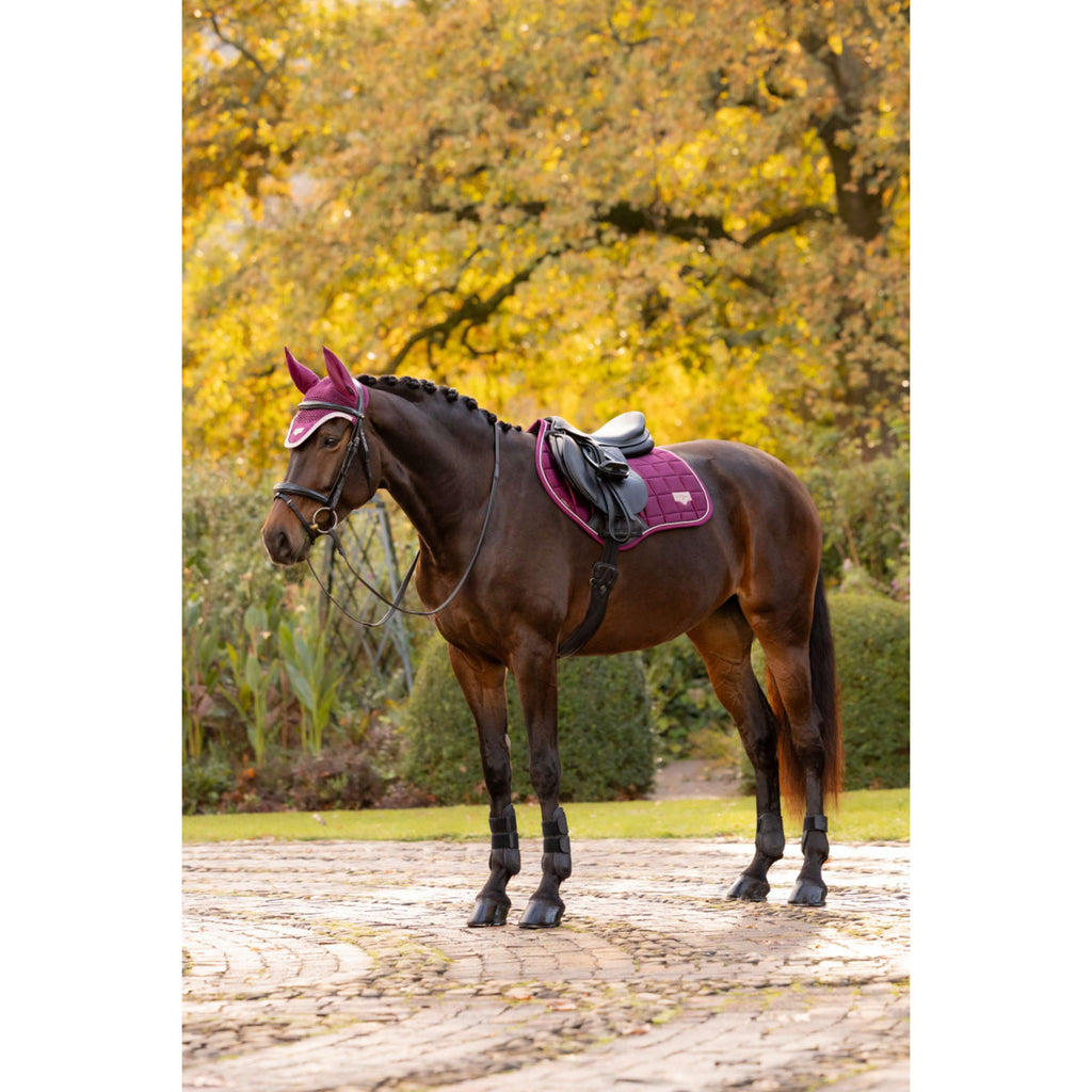 LeMieux Tapis de Selle Loire Classic Close Contact Square de Saut Blackberry