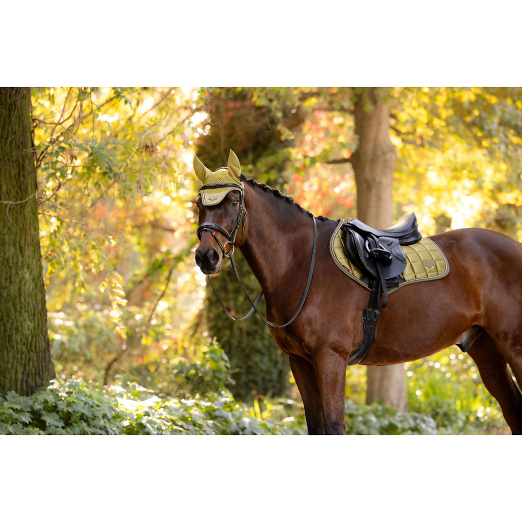 LeMieux Tapis de Selle Loire Classic Close Contact Square de Saut Gooseberry