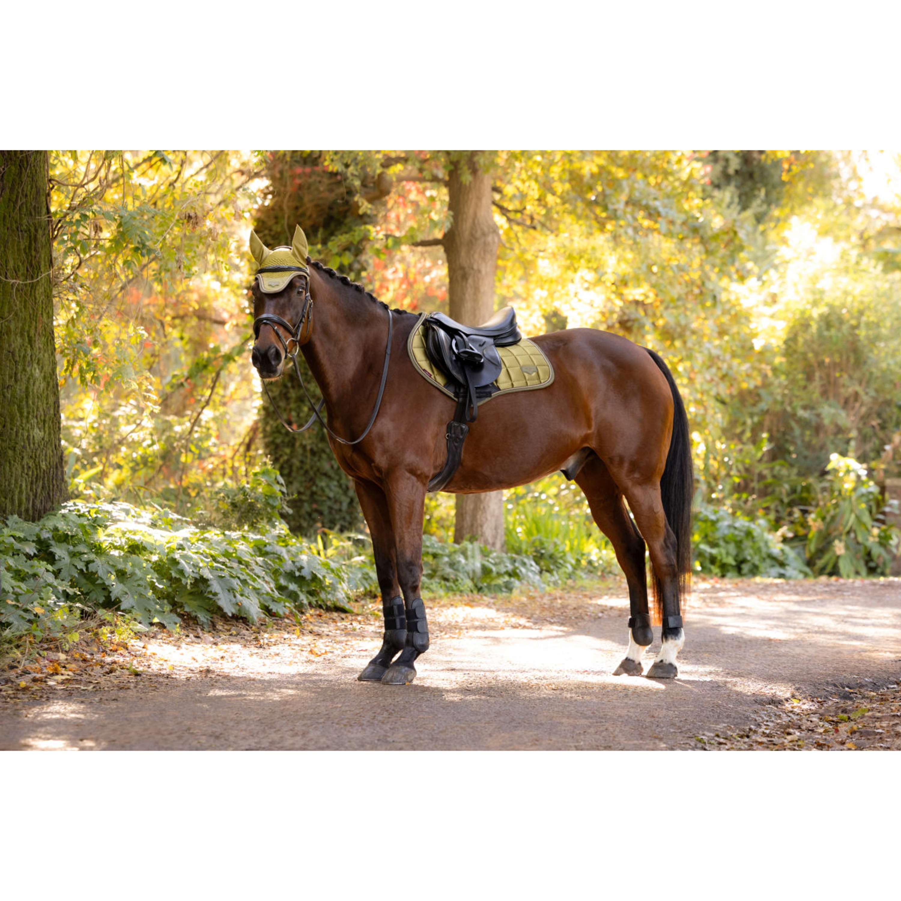 LeMieux Tapis de Selle Loire Classic Close Contact Square de Saut Gooseberry