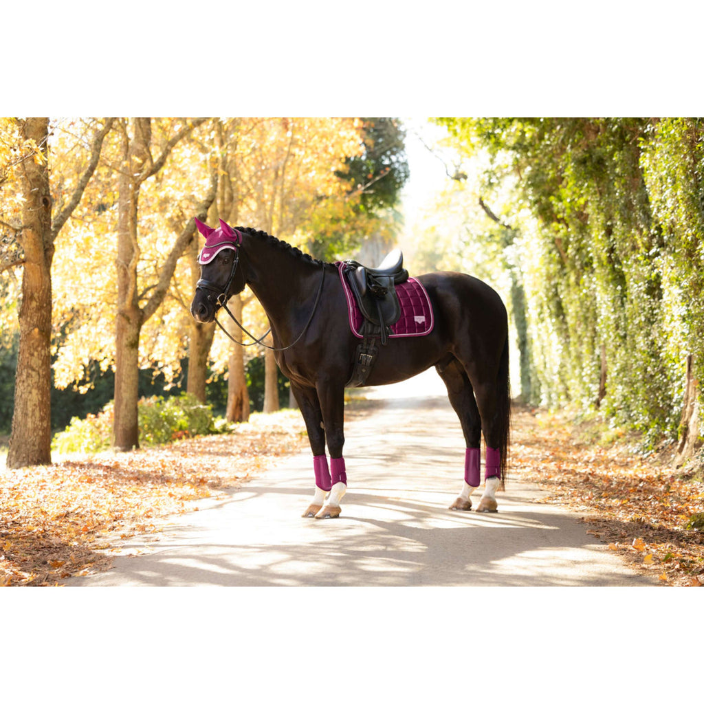 LeMieux Tapis de Selle Loire Classic Square Dressage Blackberry
