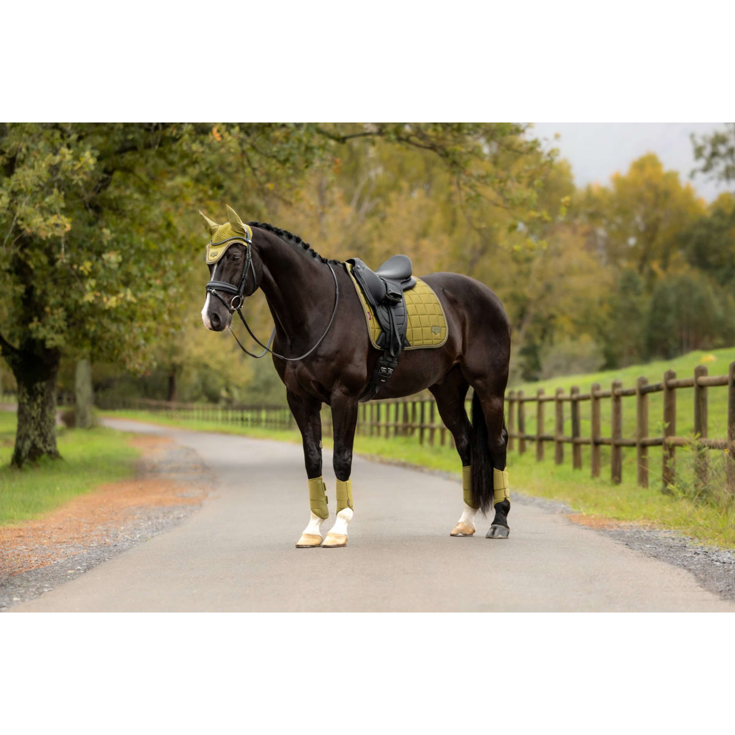 LeMieux Tapis de Selle Loire Classic Square Dressage Gooseberry