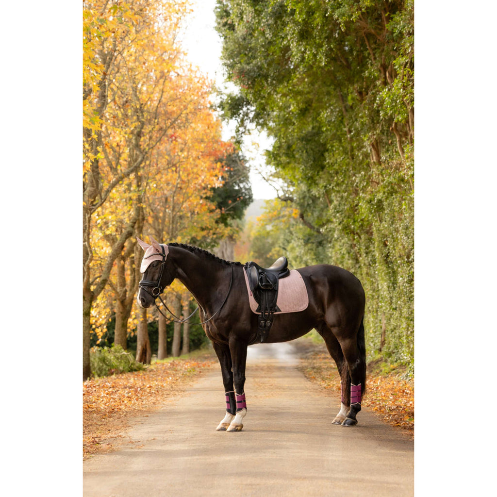 LeMieux Tapis de Selle Essence Dressage Wild Rose