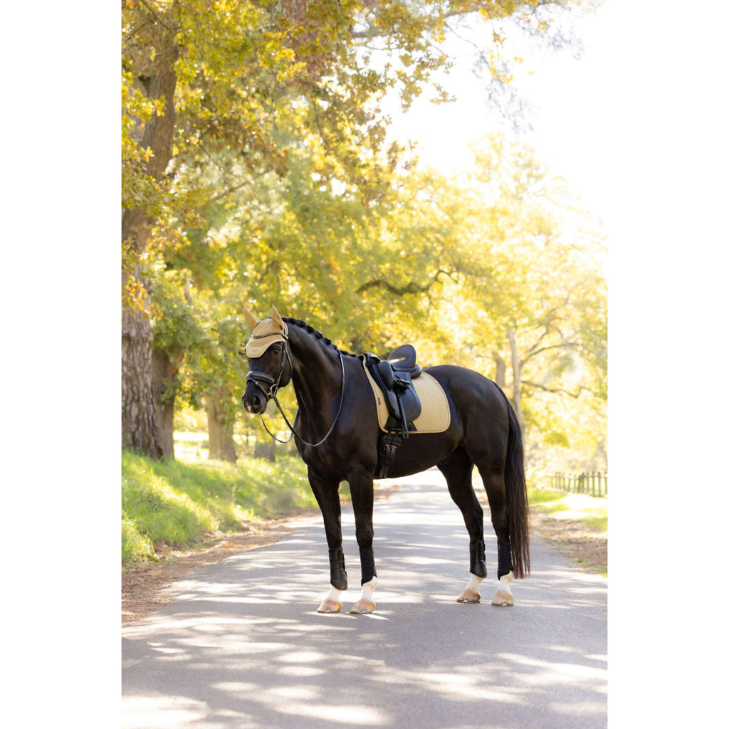 LeMieux Tapis de Selle Essence Dressage Pear