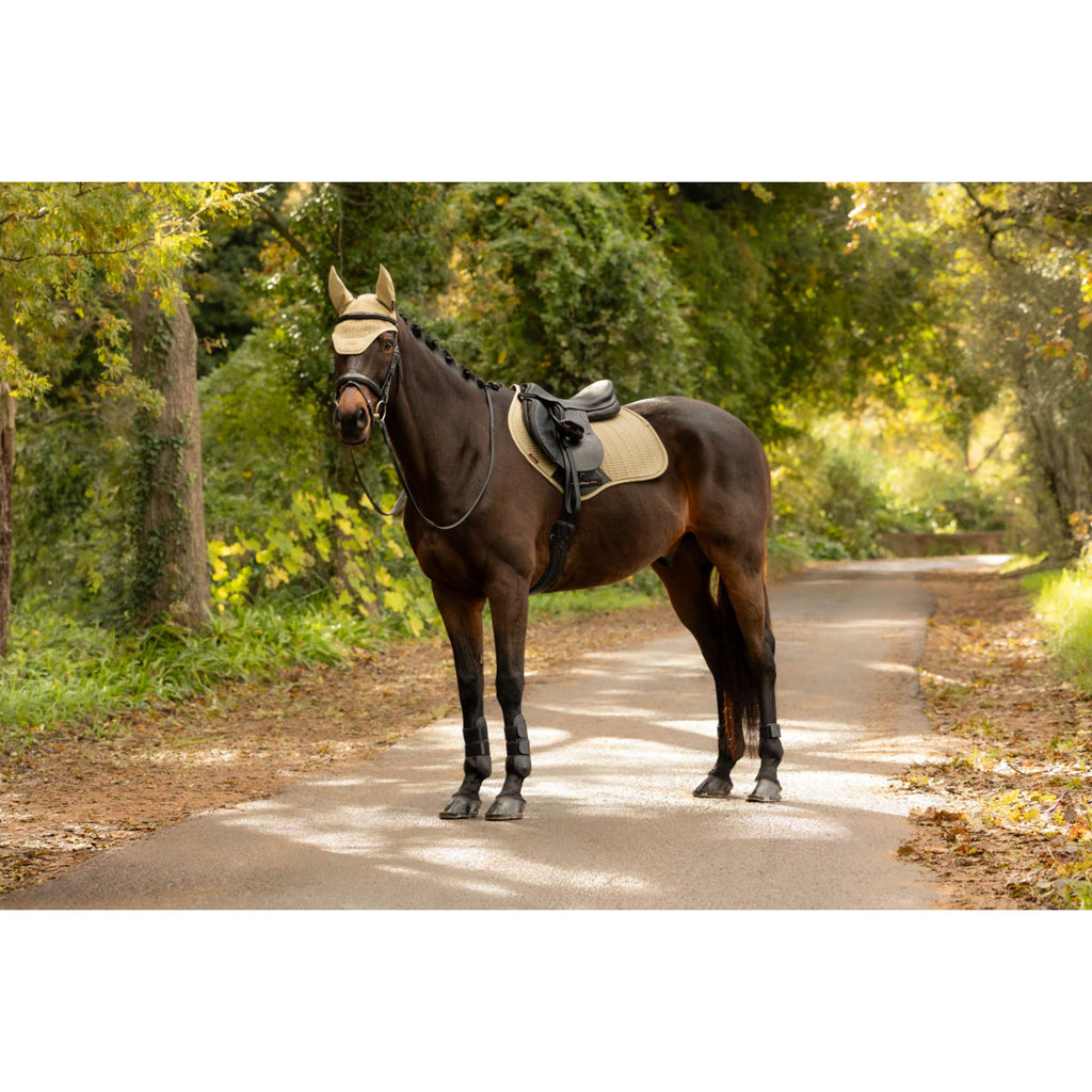 LeMieux Tapis de Selle Essence Close Contact Square de Saut Pear