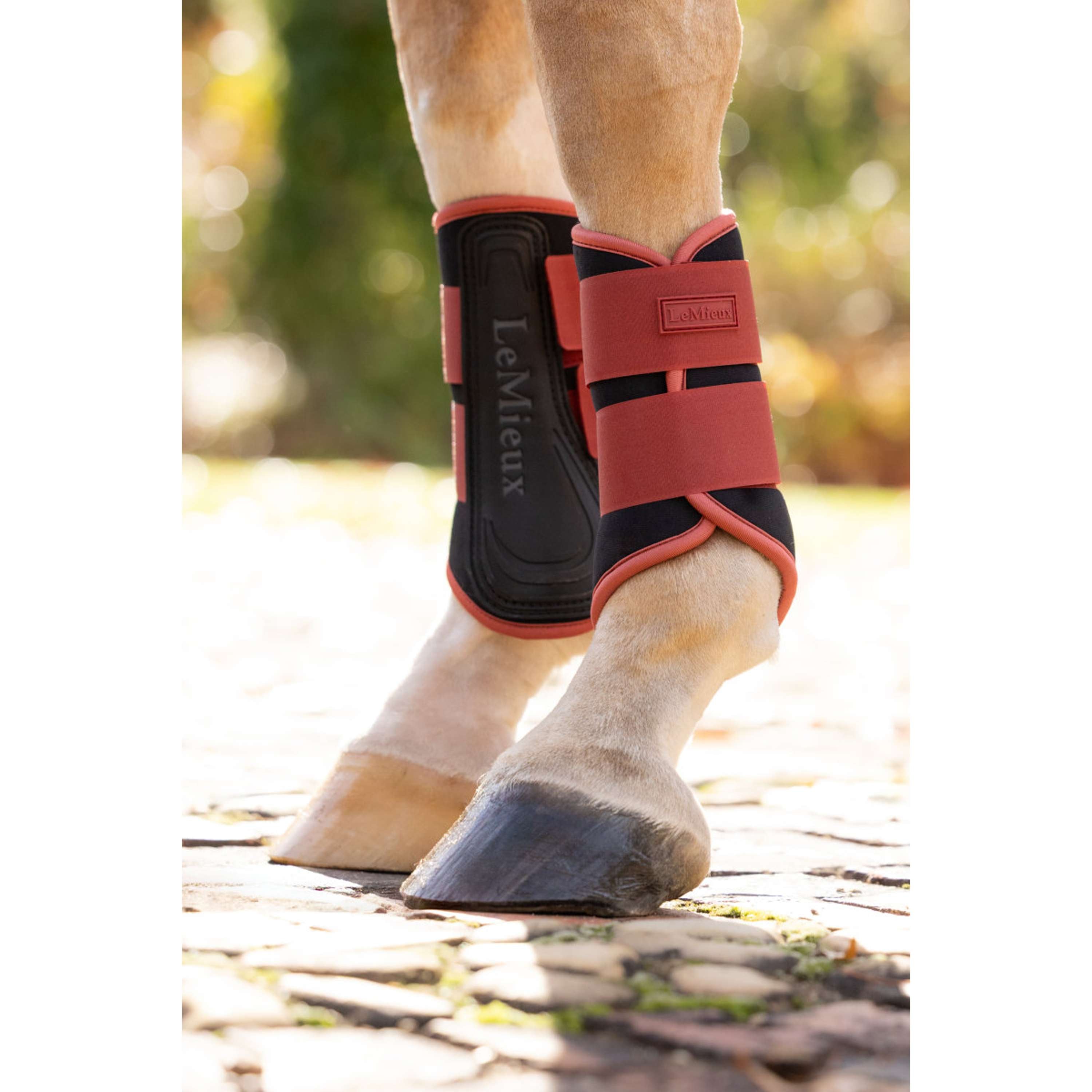 LeMieux Guêtres Air-Tek Grafter Russet